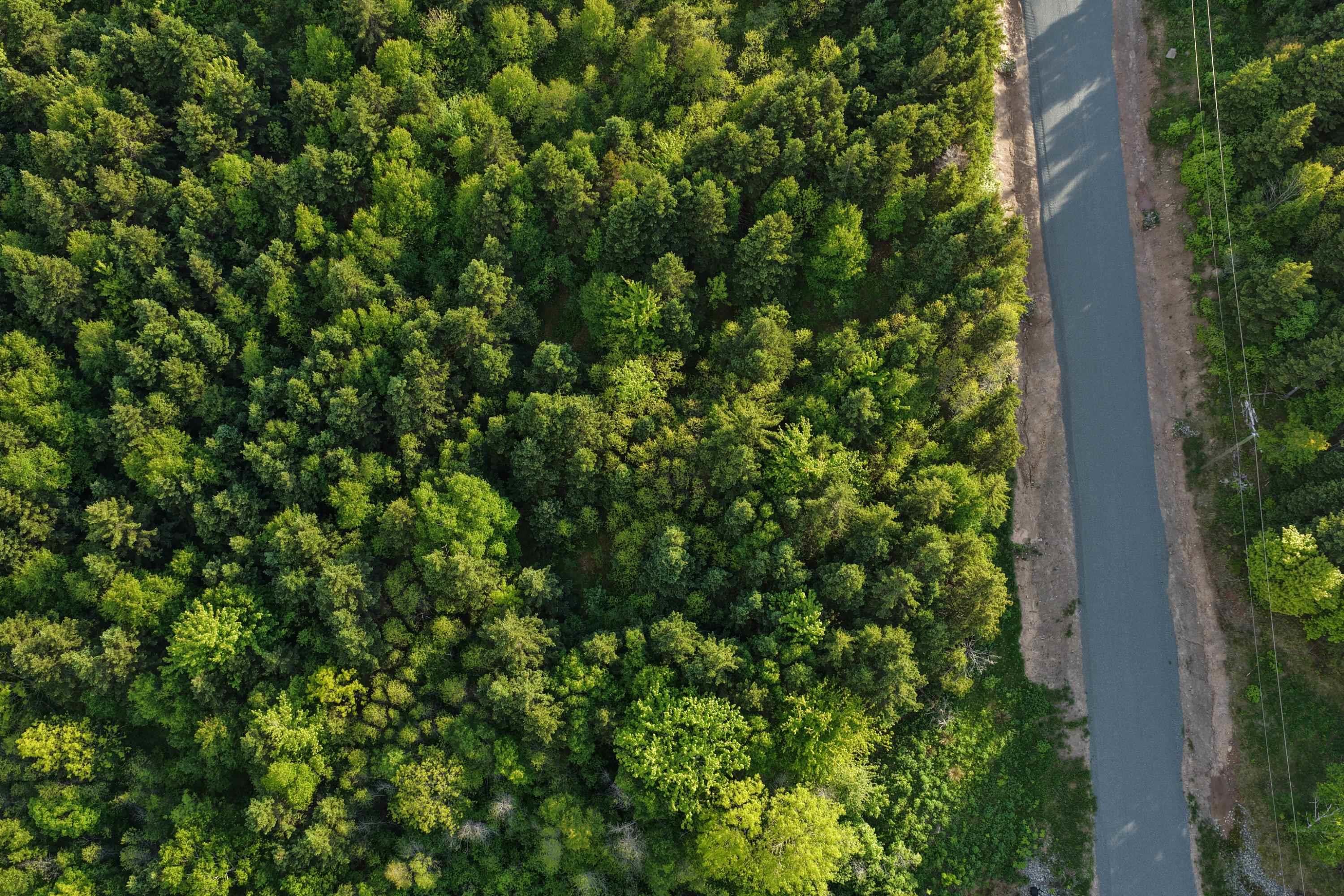 $39,000.00: Lot 2 No 19 Highway, Troy