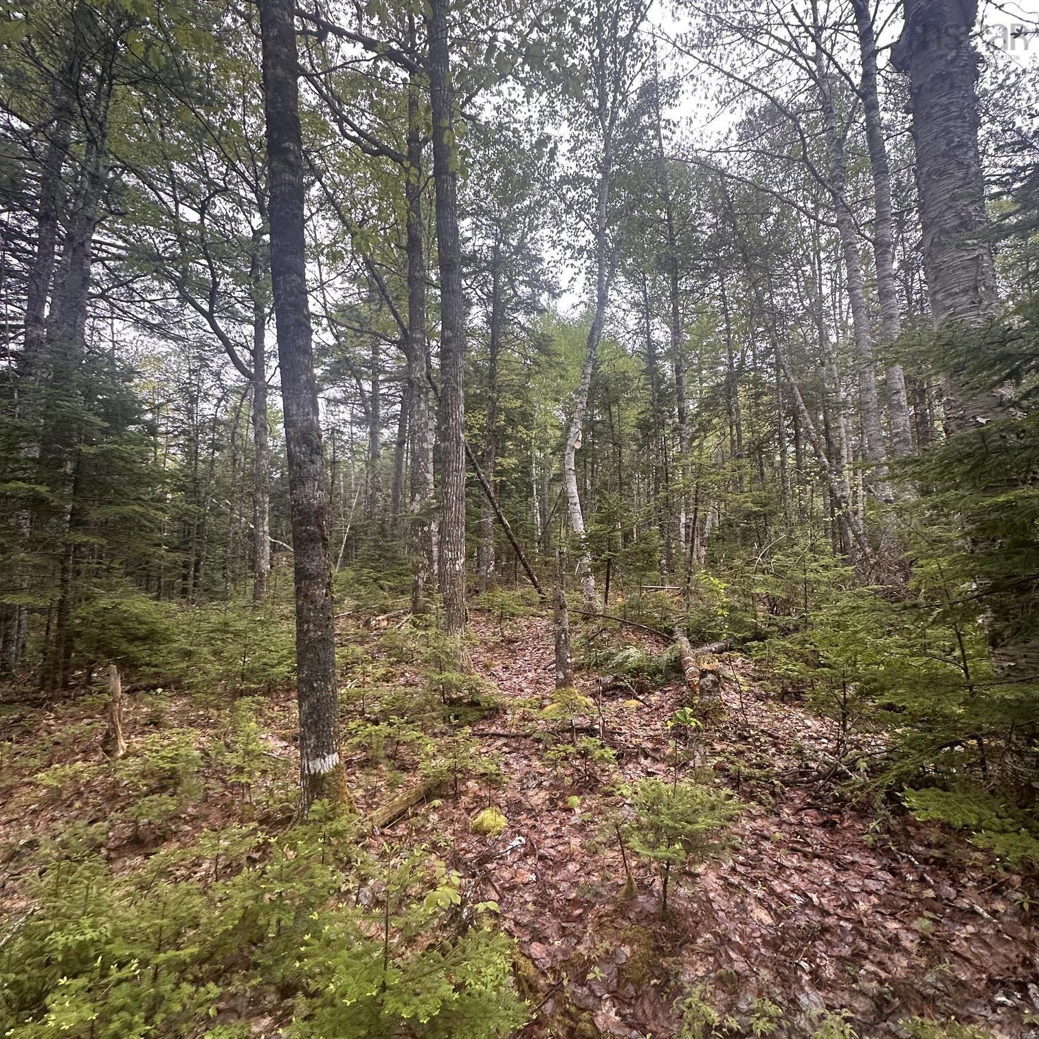 Lot 22 Moose Pit Road, Westfield, NS (MLS® 202616481)
