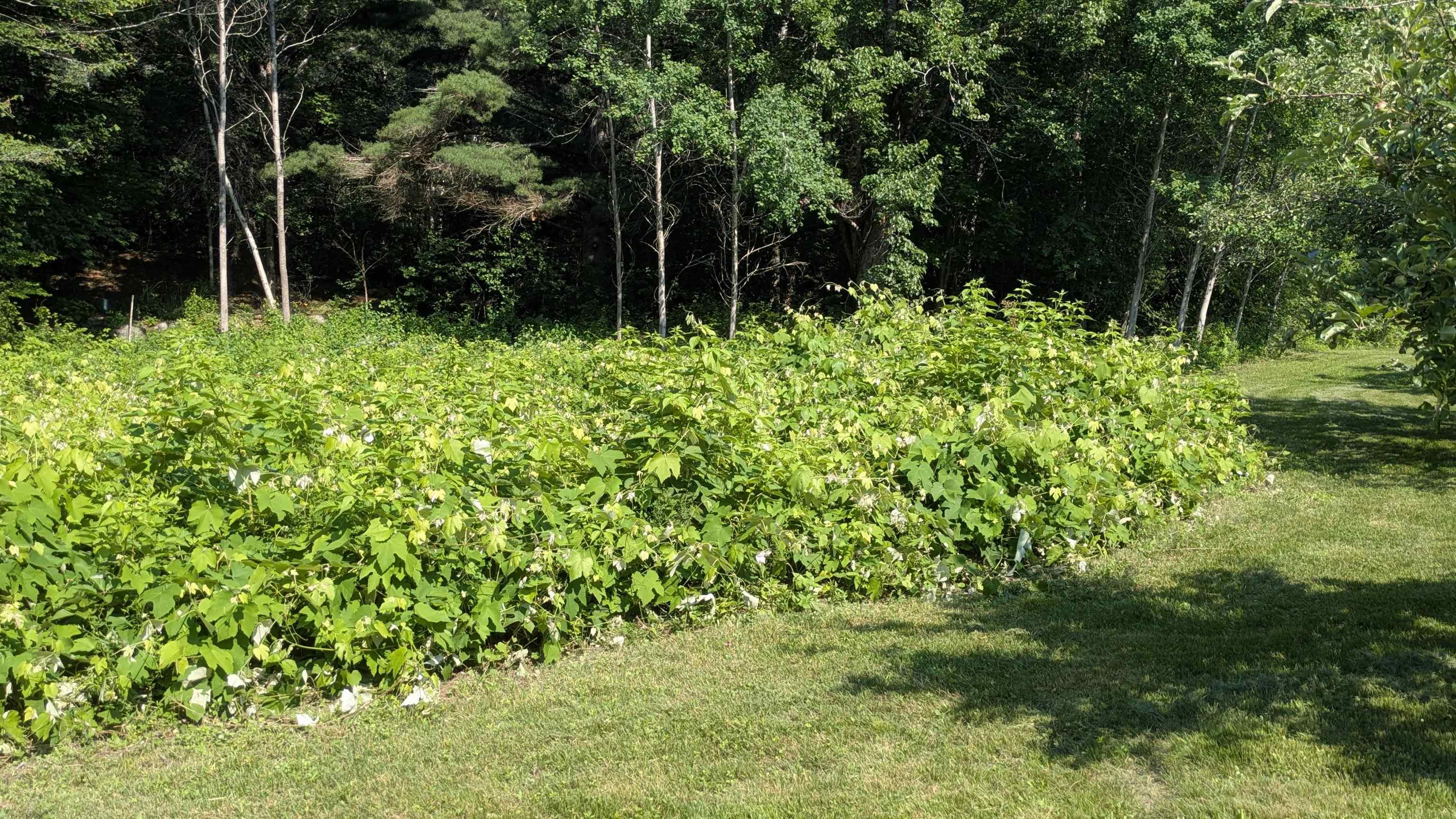 $340,000.00: 8178 Nova Scotia Trunk 8, South Brookfield
