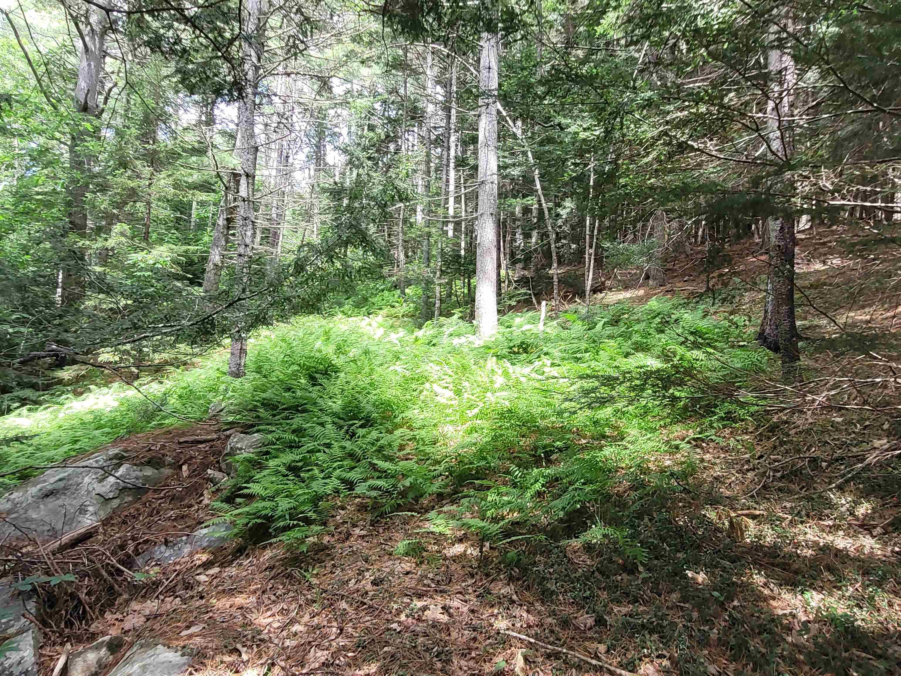 $399,000.00: 221 Highway 8, Milton