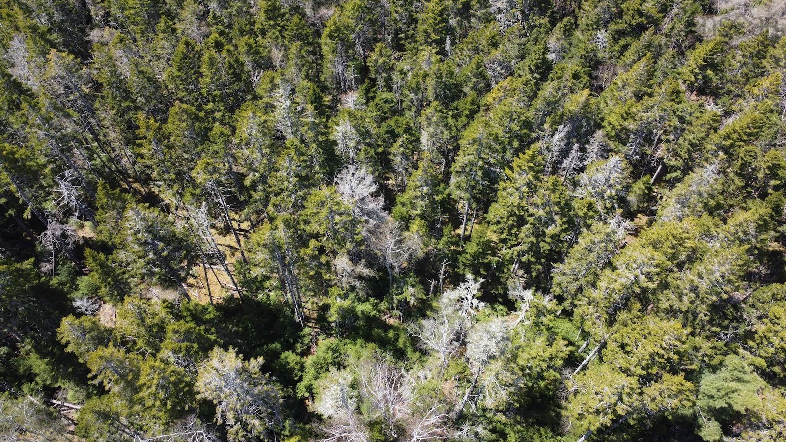 $49,900.00: Lot 6 Roberts Island Drive, Roberts Island