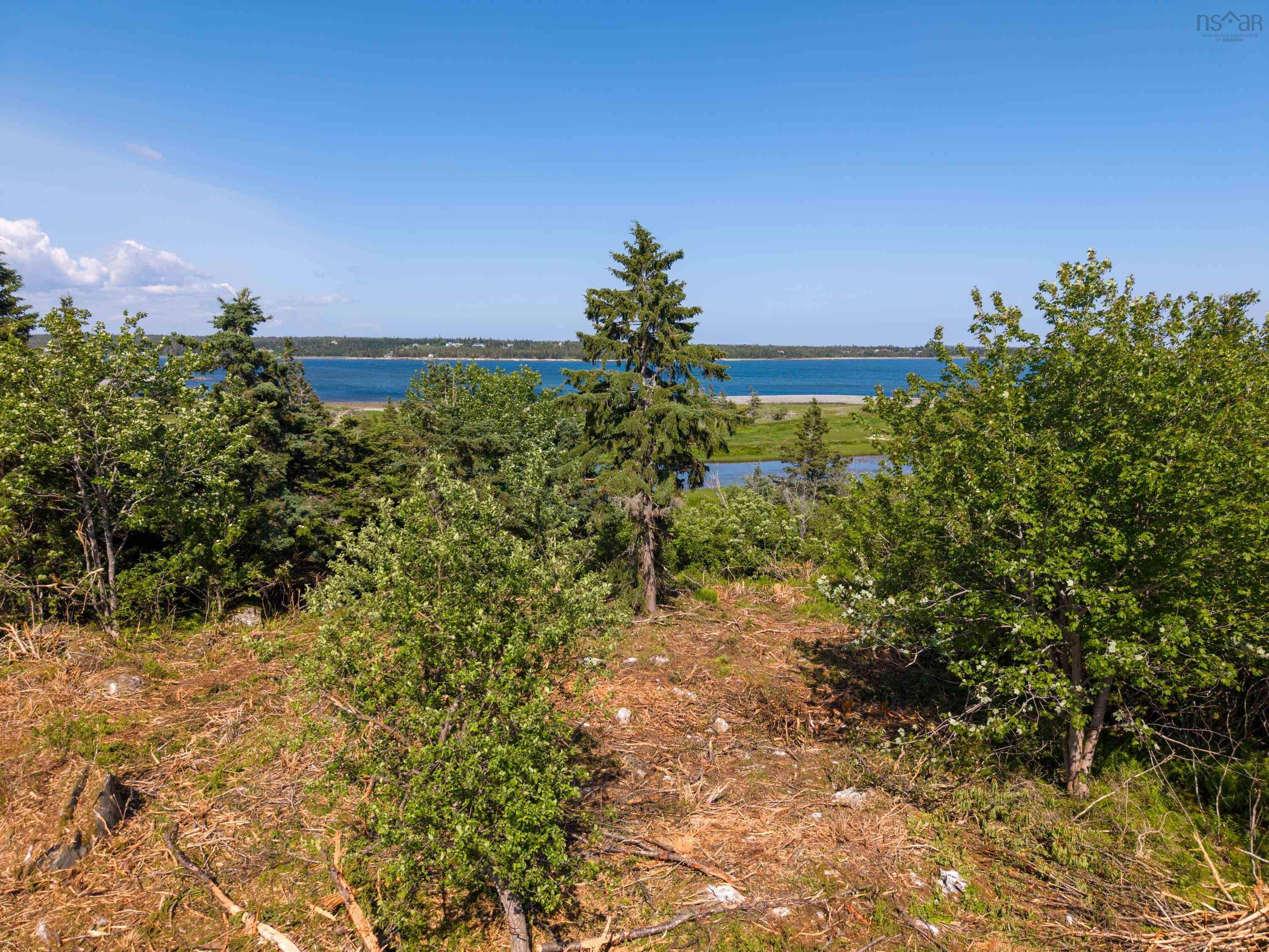 Front Acre Lot Conroad Beach Road, Lower East Chezzetcook, NS (MLS 202616665)