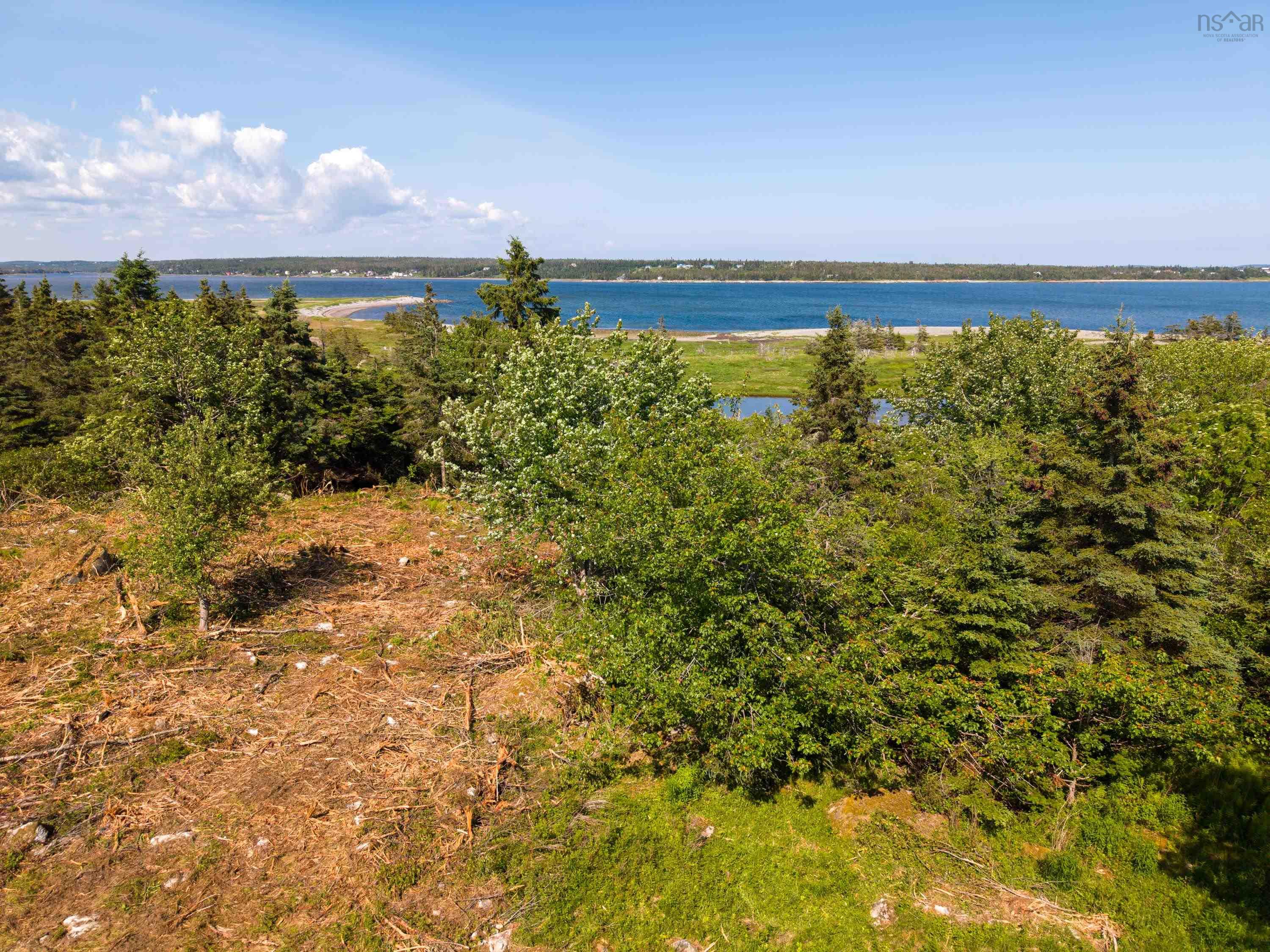 Front Acre Lot Conroad Beach Road, Lower East Chezzetcook, NS (MLS 202616665)