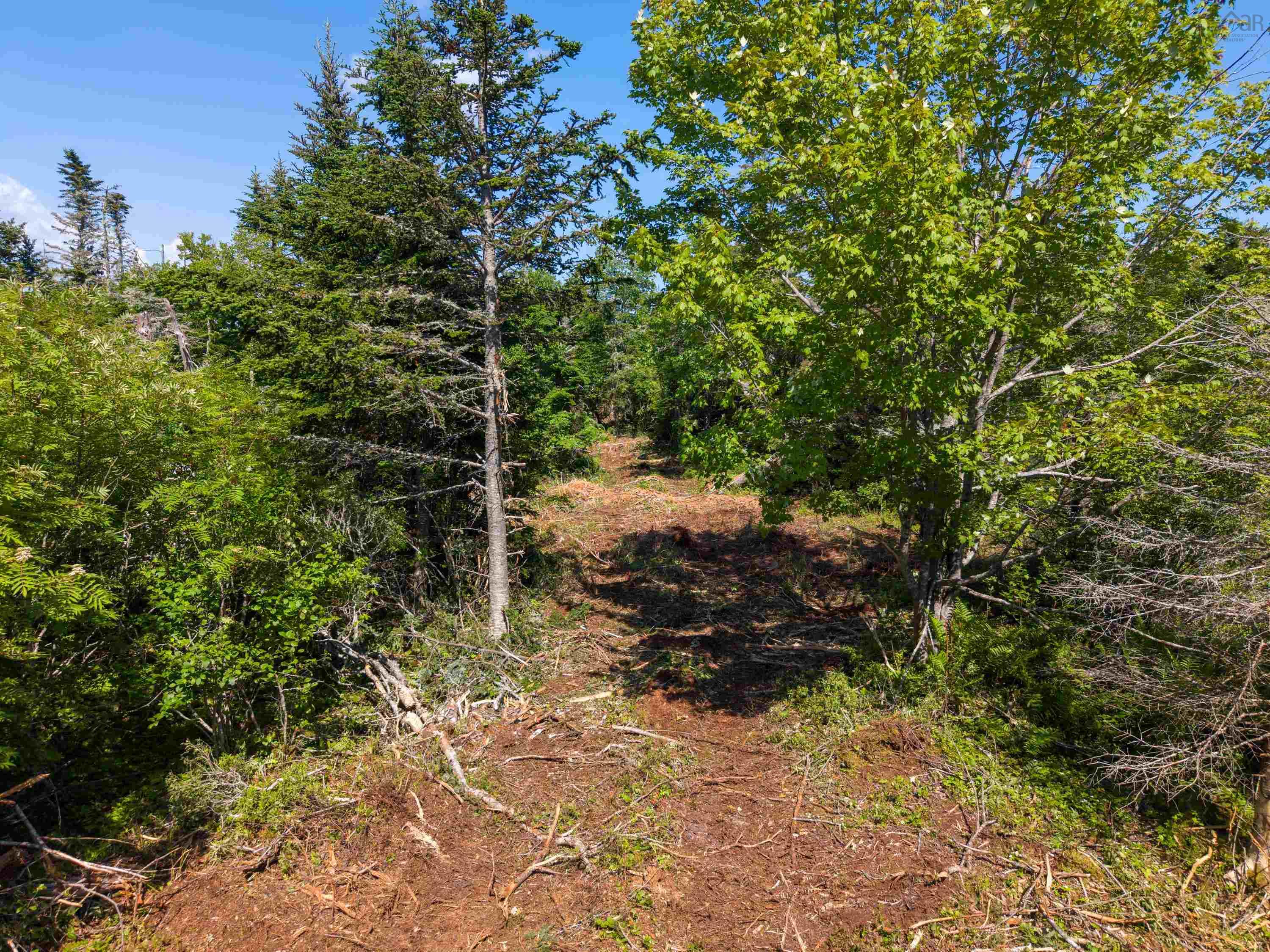 Front Acre Lot Conroad Beach Road, Lower East Chezzetcook, NS (MLS 202616665)