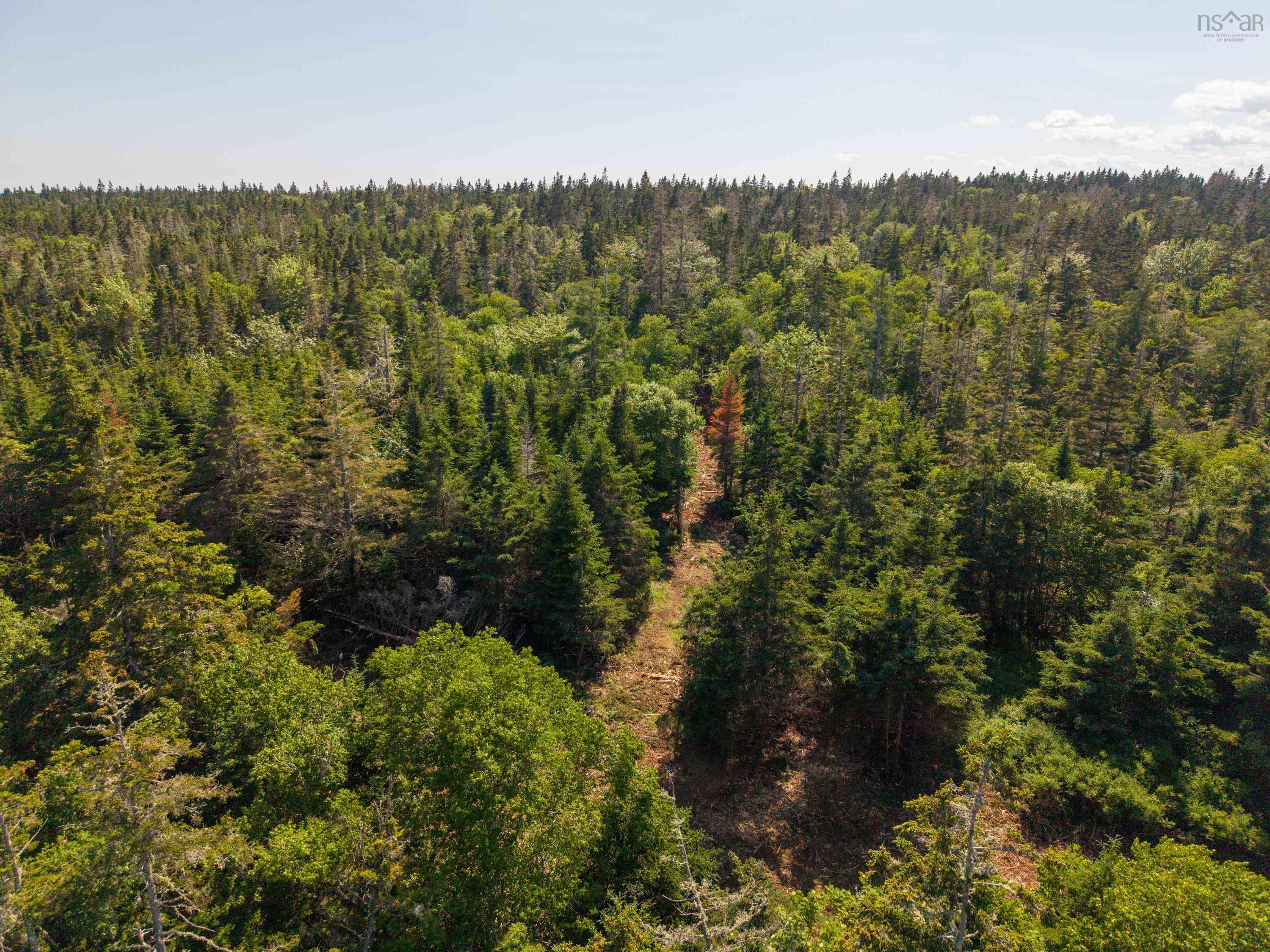 Front Acre Lot Conroad Beach Road, Lower East Chezzetcook, NS (MLS 202616665)