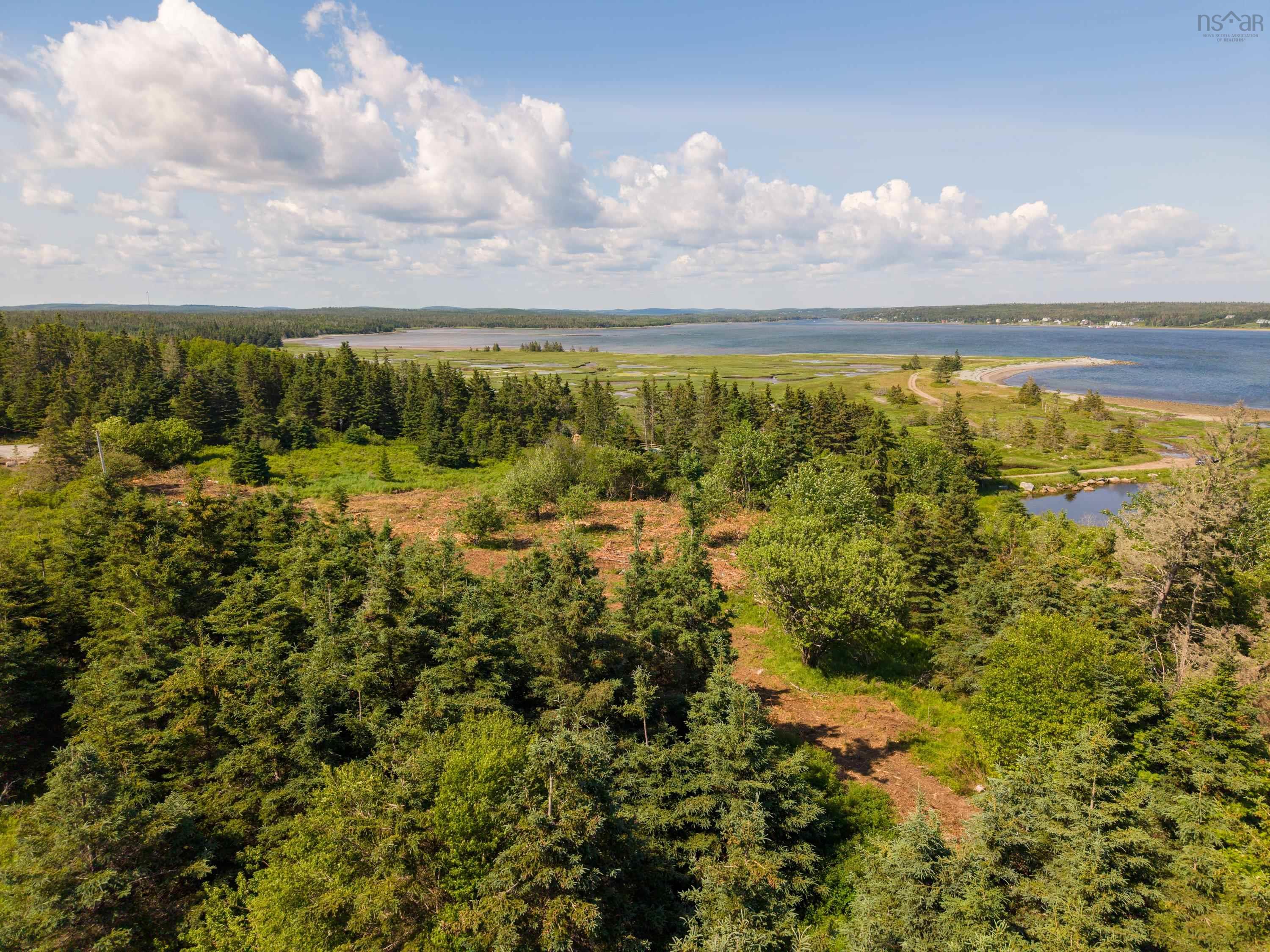 40  Acre Lot Conrod Beach Road, Lower East Chezzetcook, NS (MLS 202616669)
