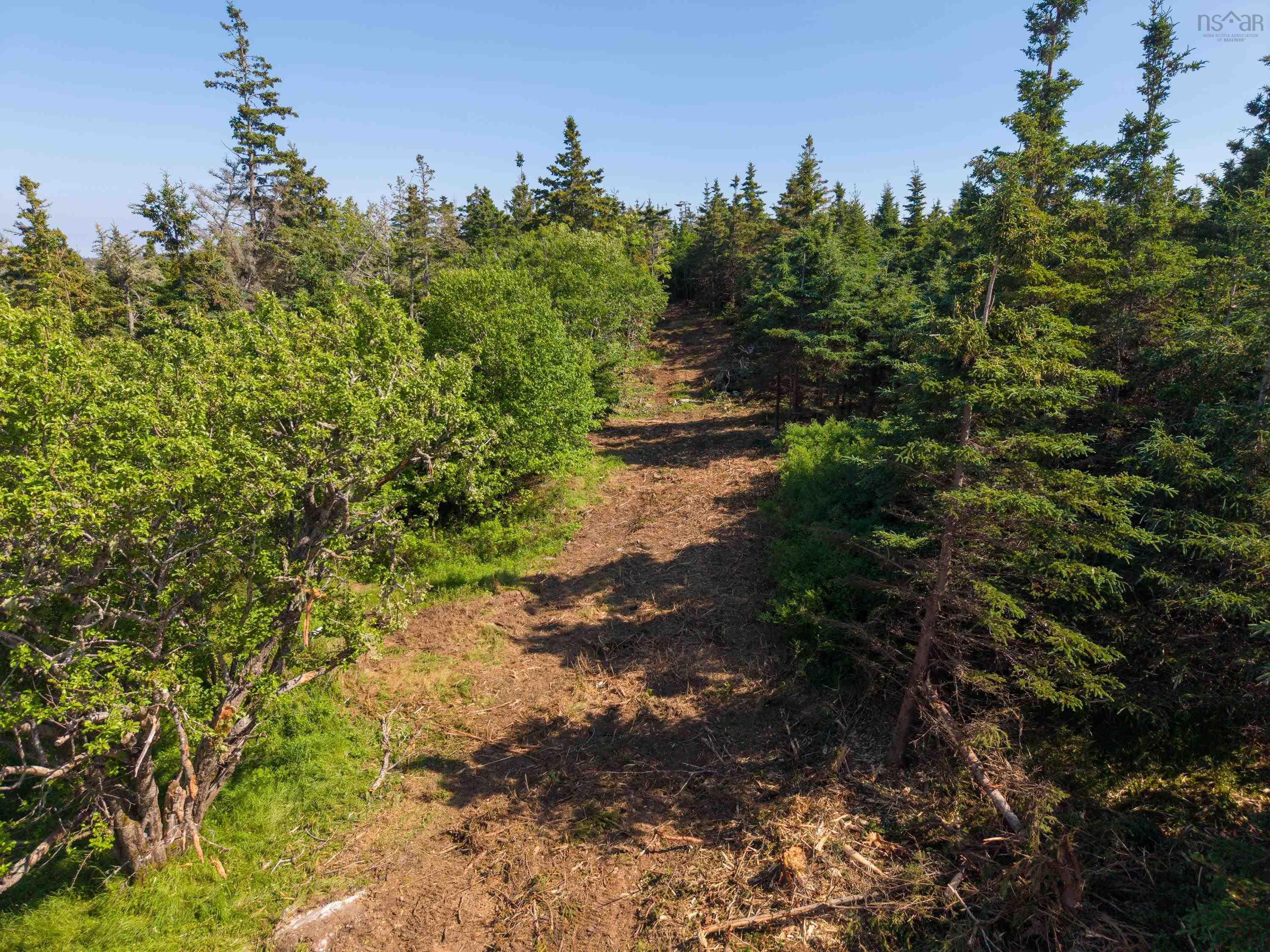40  Acre Lot Conrod Beach Road, Lower East Chezzetcook, NS (MLS 202616669)