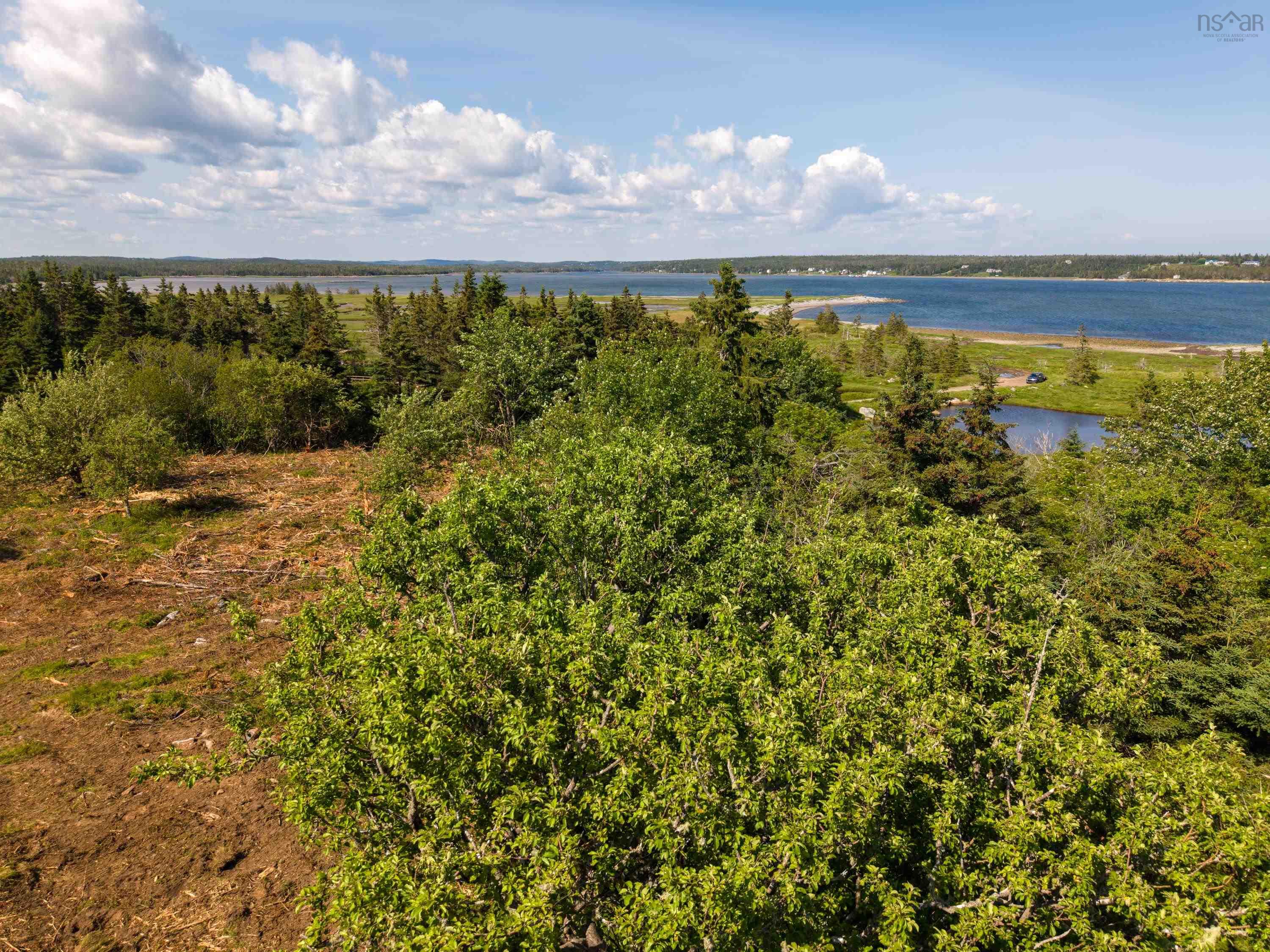 40  Acre Lot Conrod Beach Road, Lower East Chezzetcook, NS (MLS 202616669)