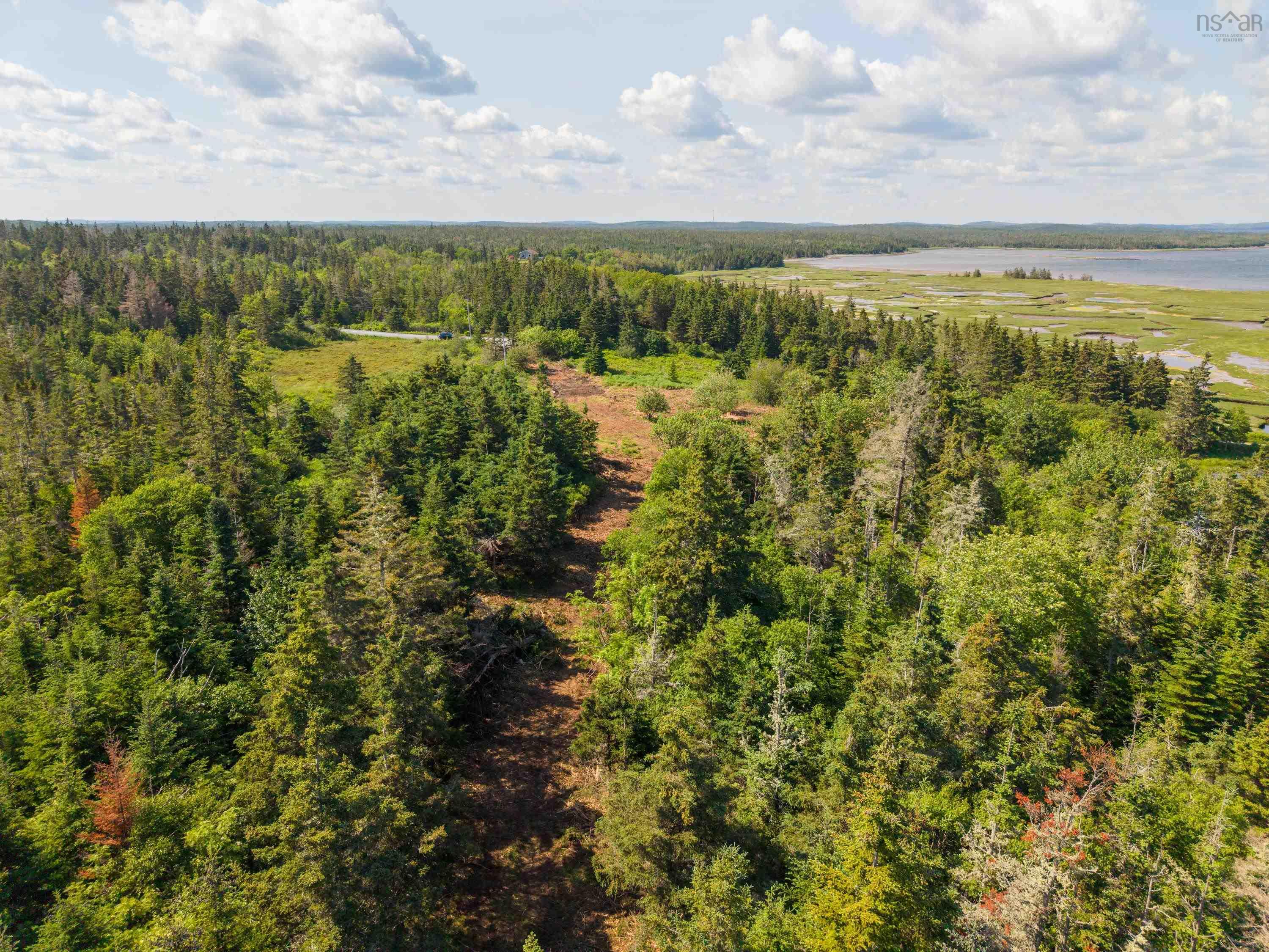 40  Acre Lot Conrod Beach Road, Lower East Chezzetcook, NS (MLS 202616669)