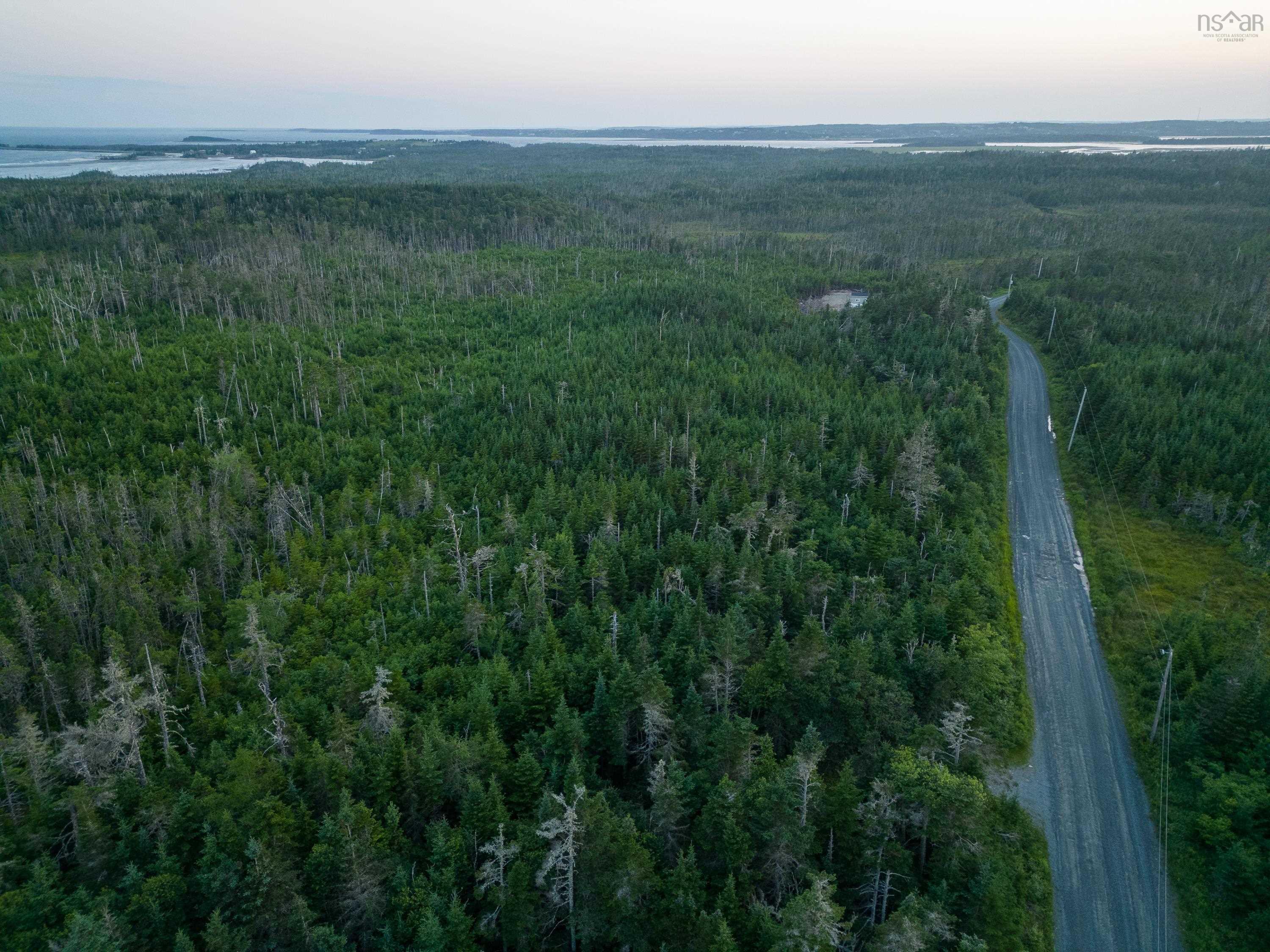 40  Acre Lot Conrod Beach Road, Lower East Chezzetcook, NS (MLS 202616669)