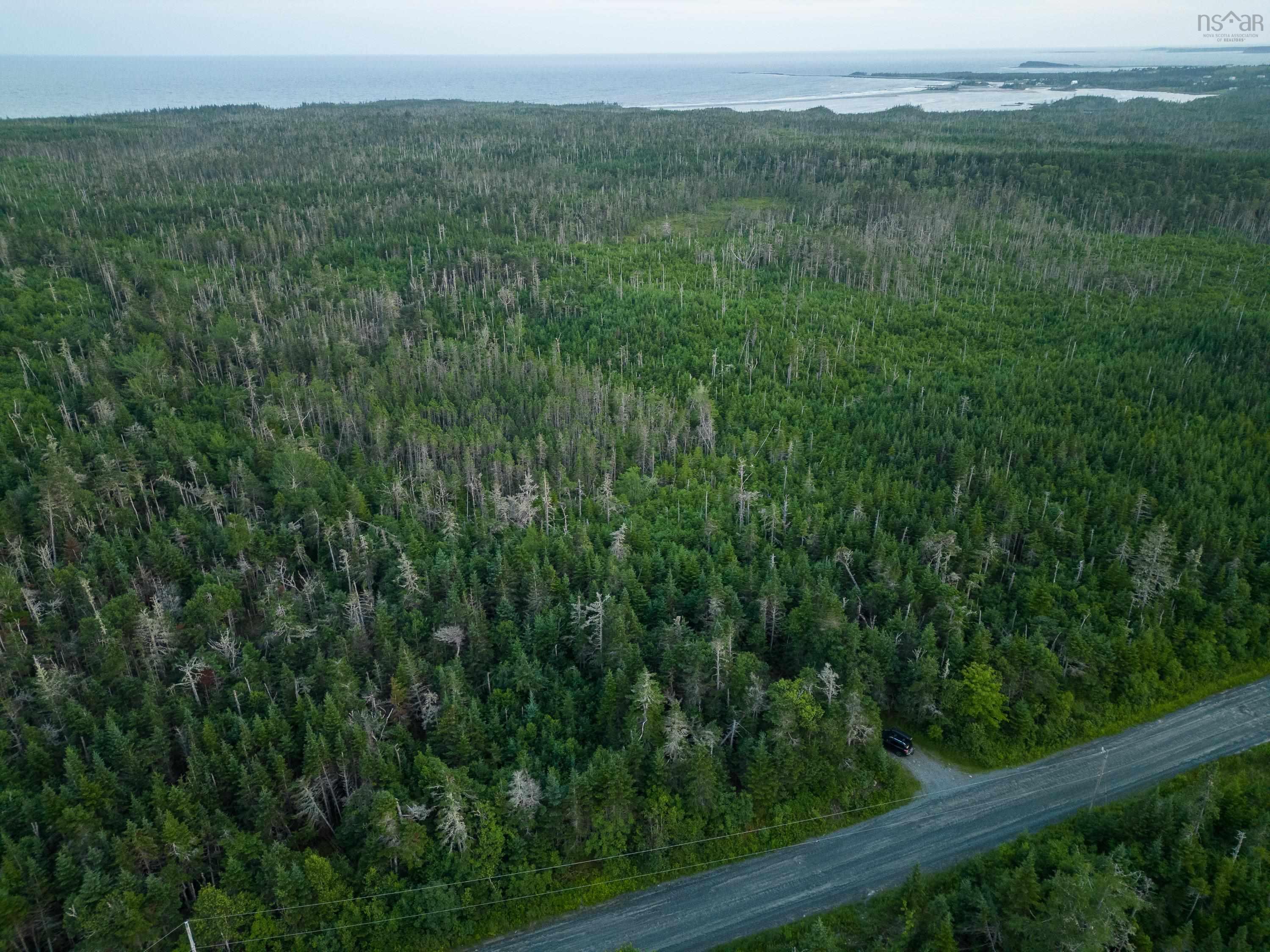 40  Acre Lot Conrod Beach Road, Lower East Chezzetcook, NS (MLS 202616669)