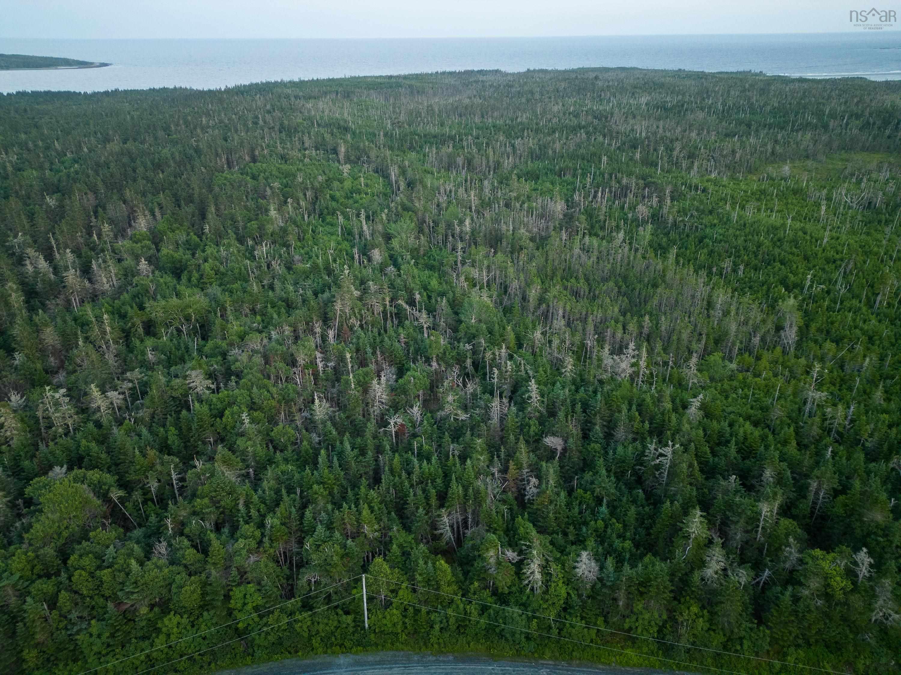 40  Acre Lot Conrod Beach Road, Lower East Chezzetcook, NS (MLS 202616669)