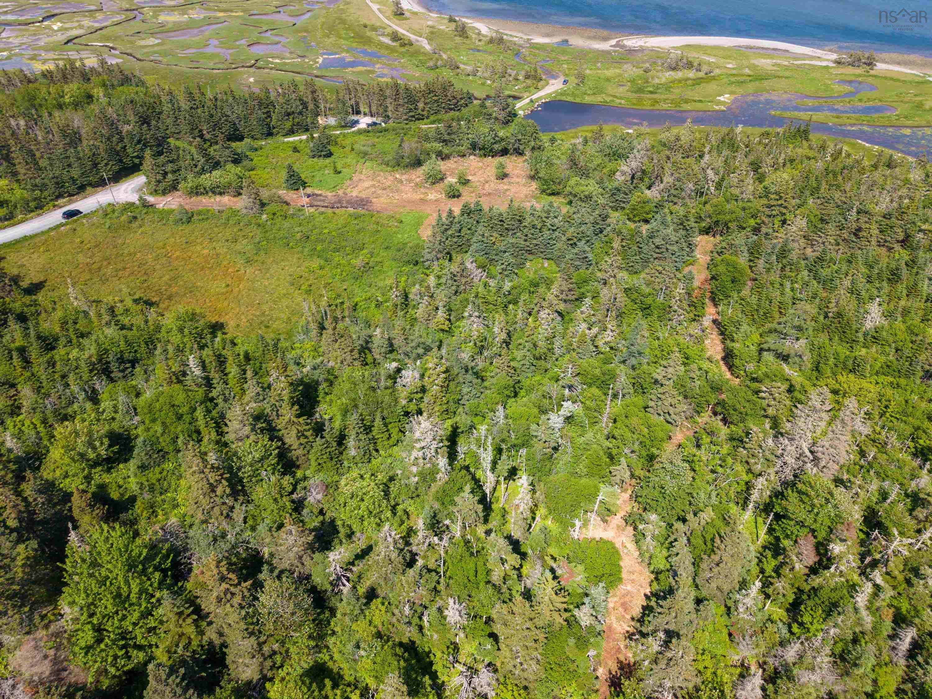 40  Acre Lot Conrod Beach Road, Lower East Chezzetcook, NS (MLS 202616669)