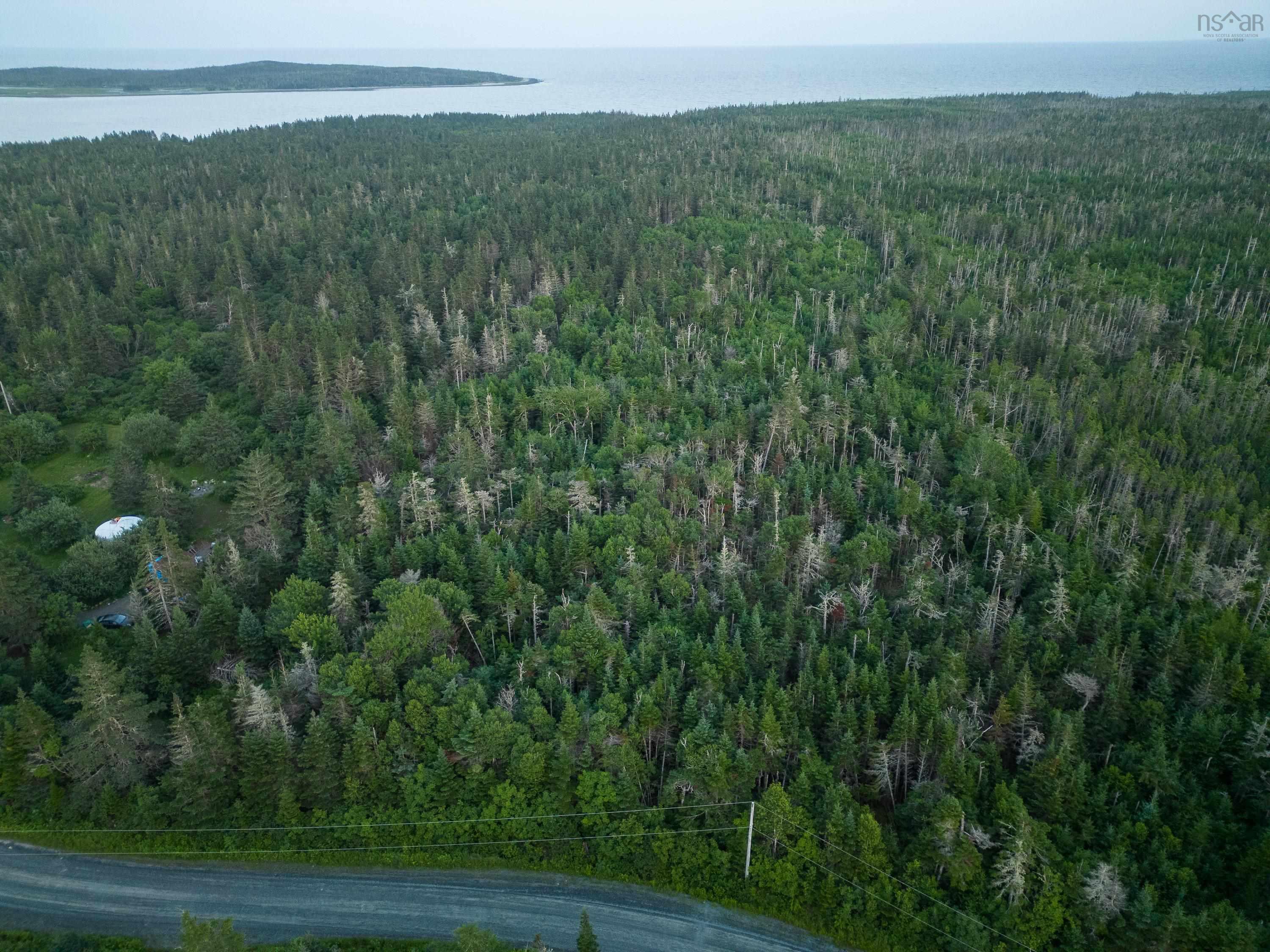 Back Acres Conrod Beach Road, Lower East Chezzetcook, NS (MLS 202616671)