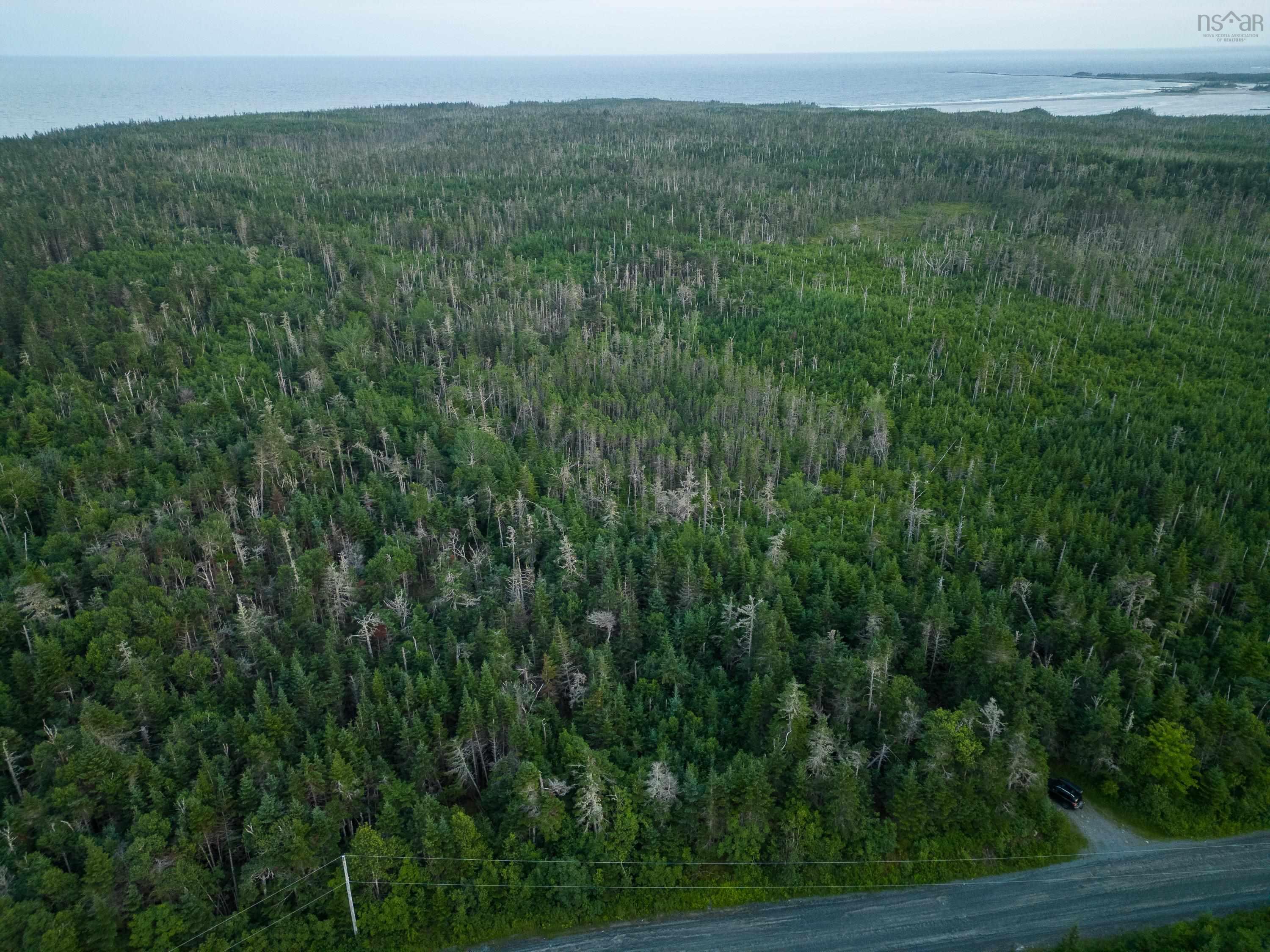 Back Acres Conrod Beach Road, Lower East Chezzetcook, NS (MLS 202616671)