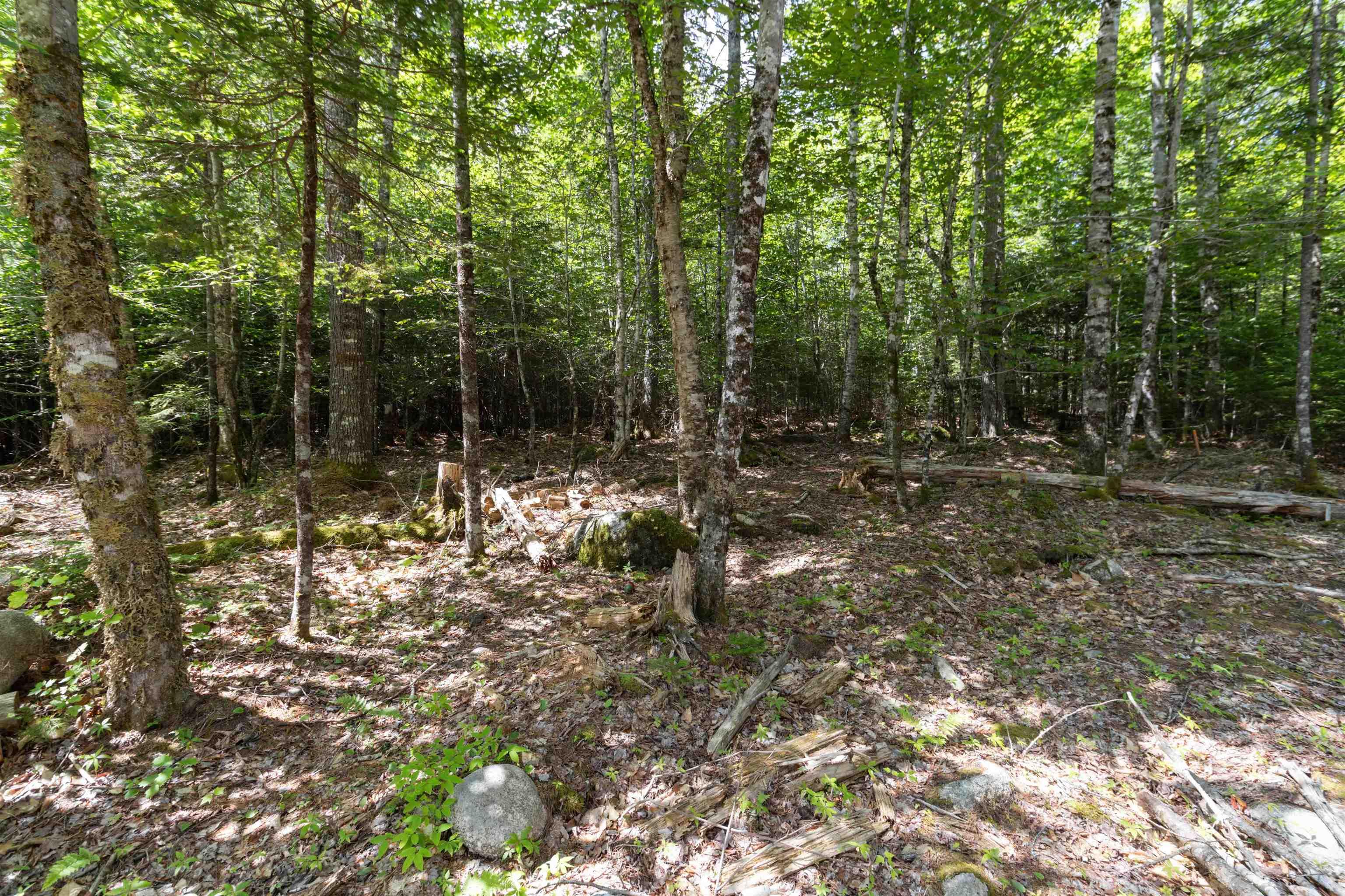 $110,000.00: 556 KILL DOG COVE RD, Parkdale