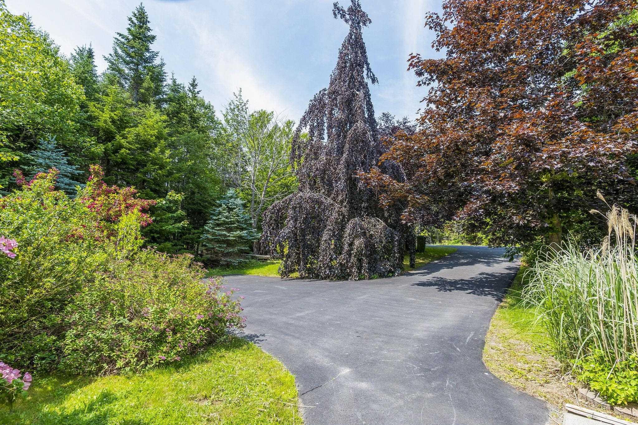 732 West Porters Lake Road, Porters Lake, NS (MLS 202617166)