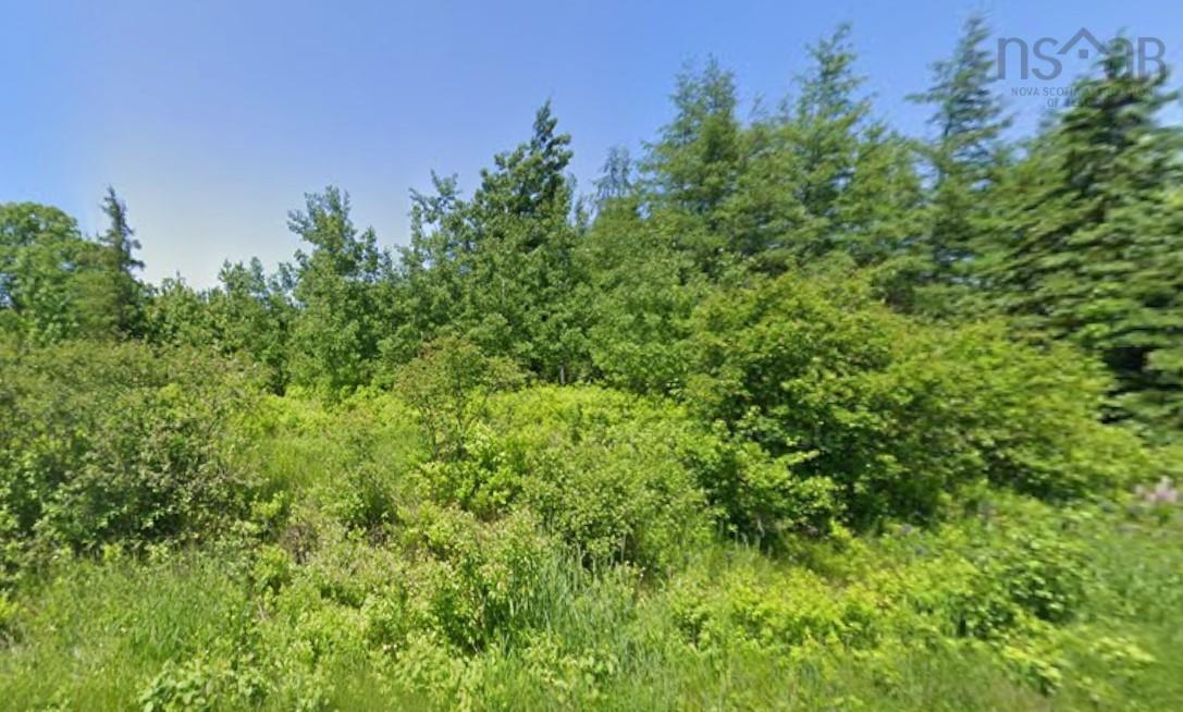 Lot a Malagash Road, Malagash, NS (MLS® 202617208)