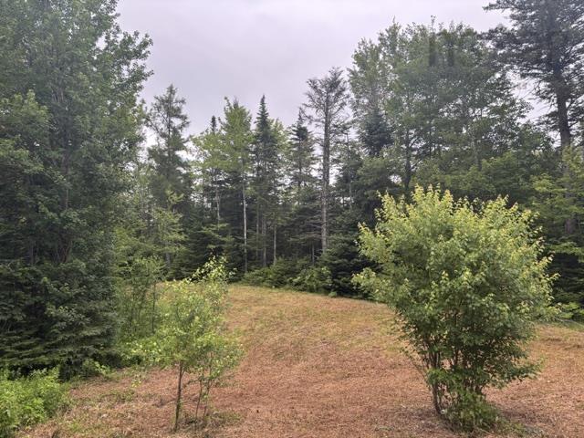 $170,000.00: 53 Moore Road, Mount Uniacke