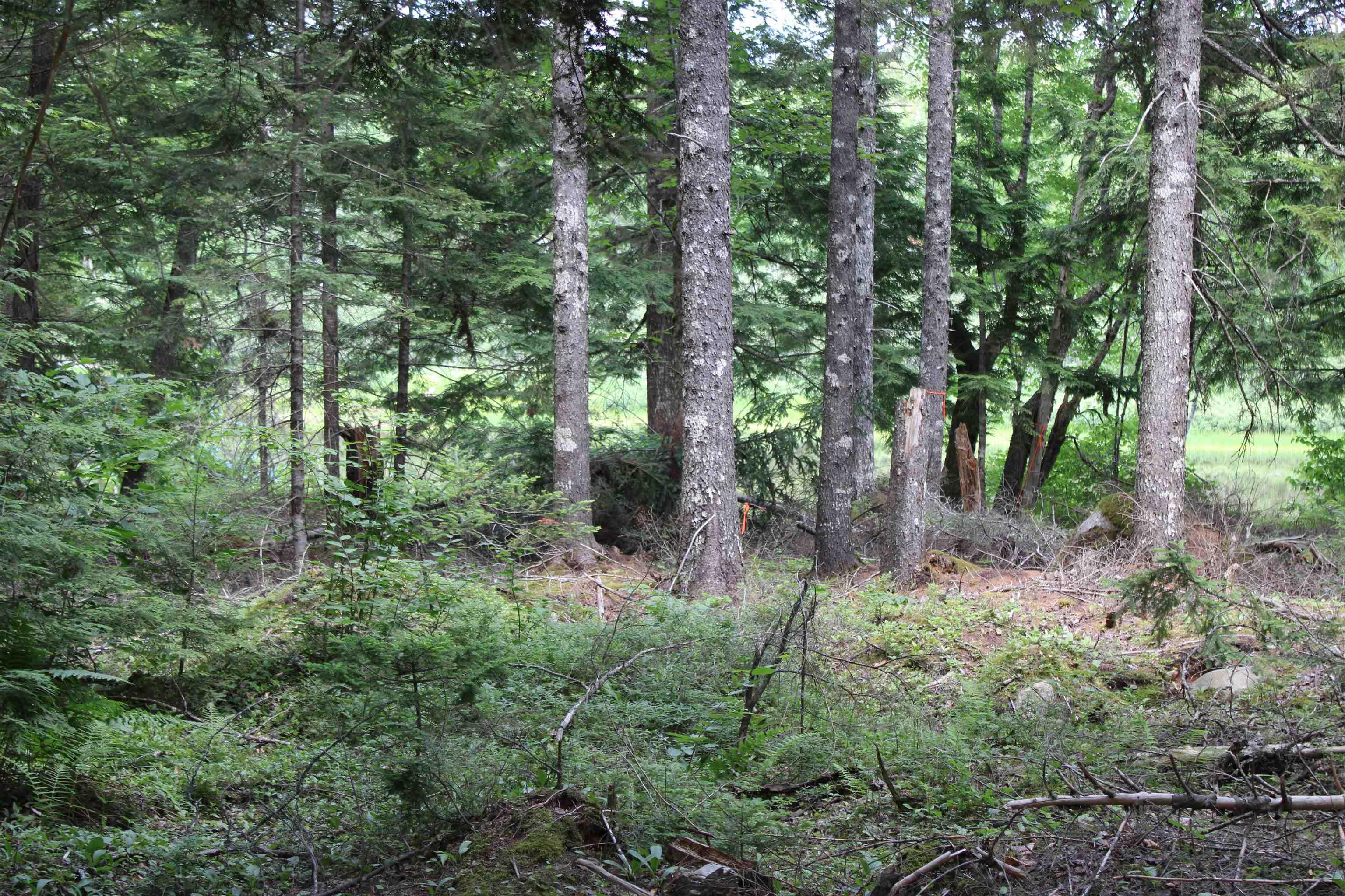 $89,900.00: LOT 104 River Lane, Lakeview
