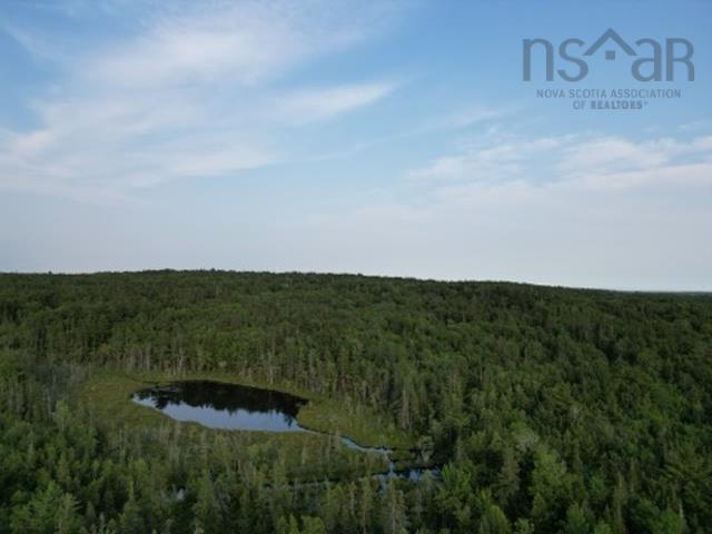 Upper Brian Street, East Preston, NS (MLS® 202617442)