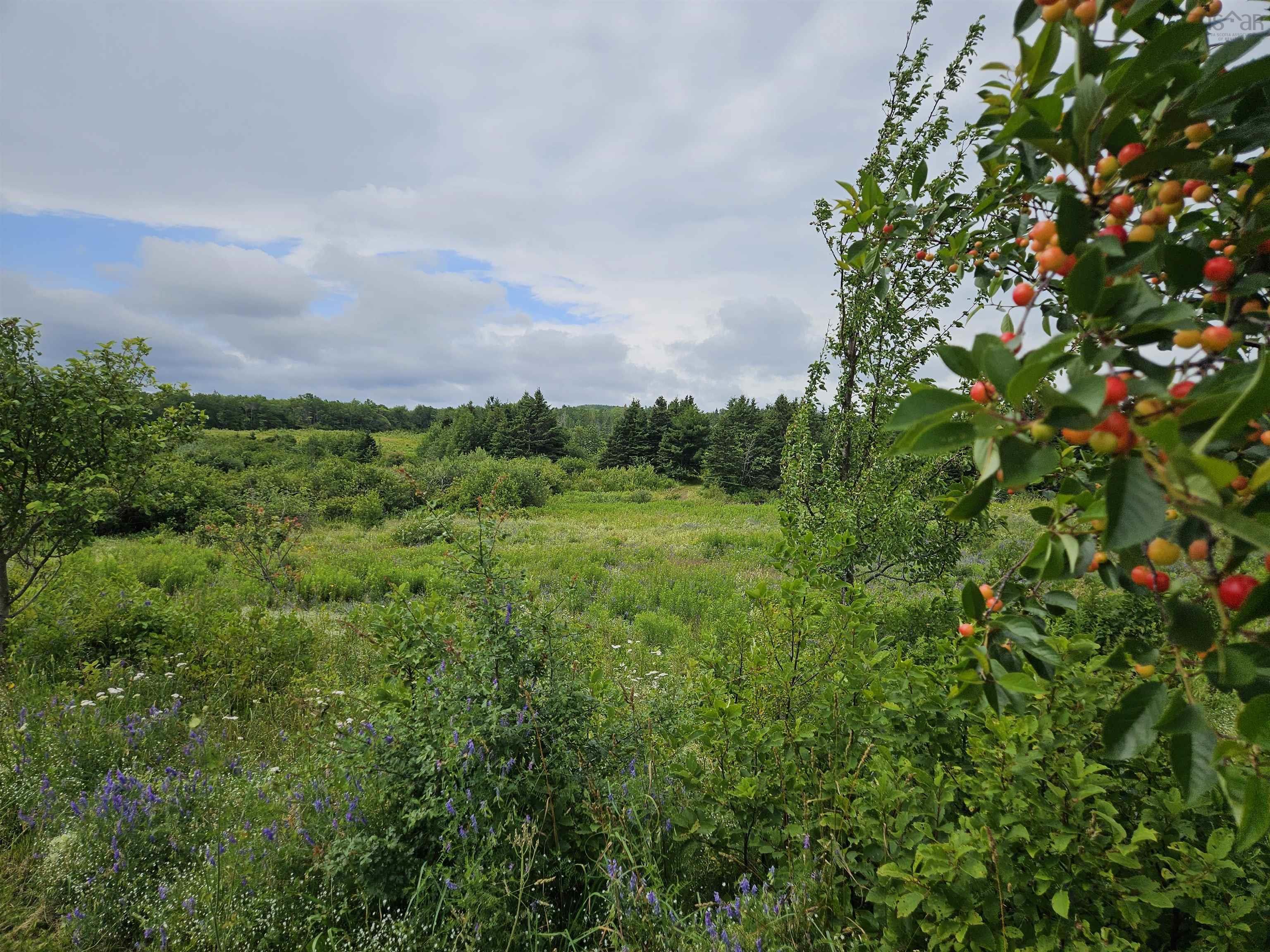 $399,900.00: 1807 Highway 326, East Earltown