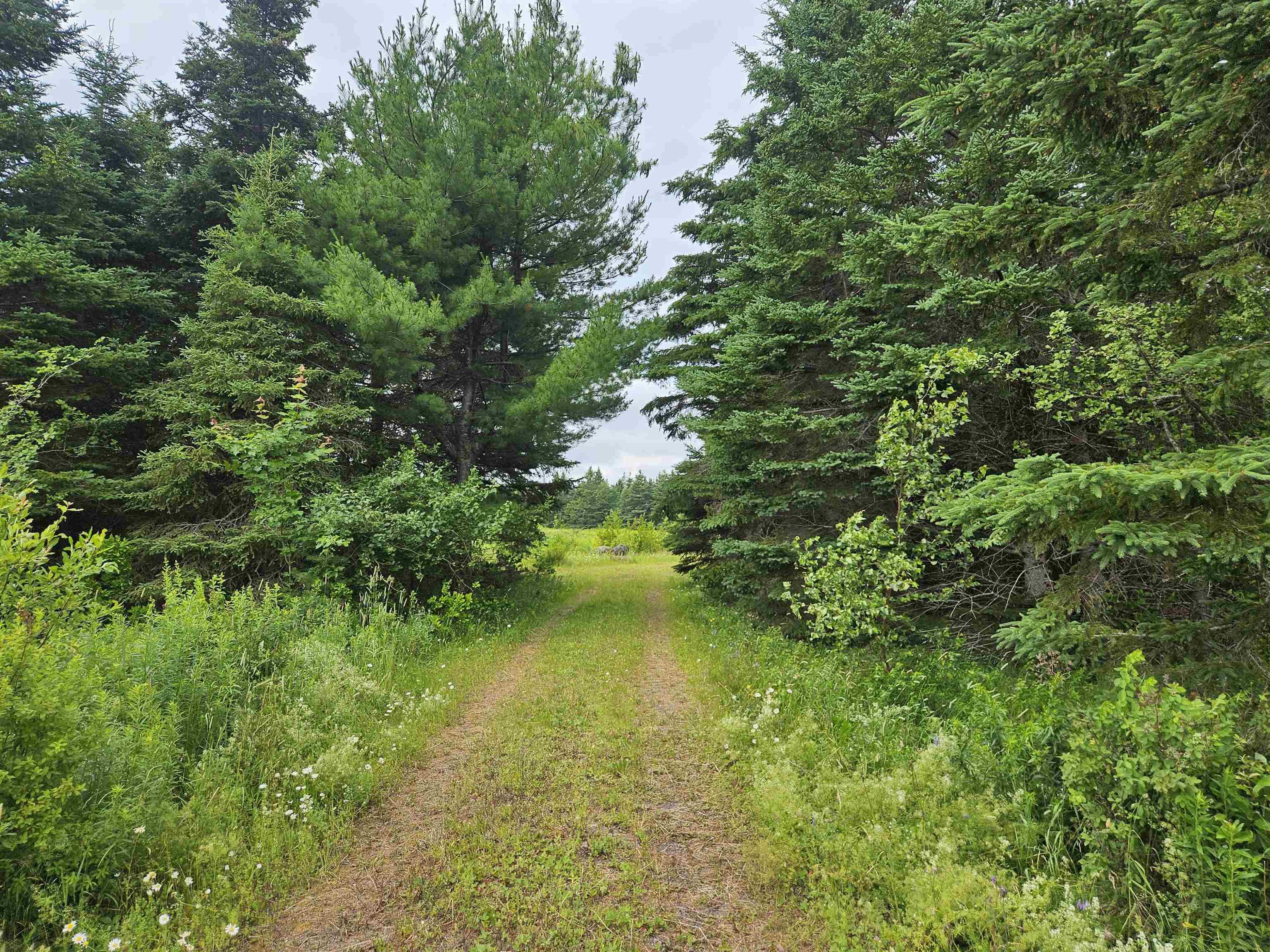 $399,900.00: 1807 Highway 326, East Earltown