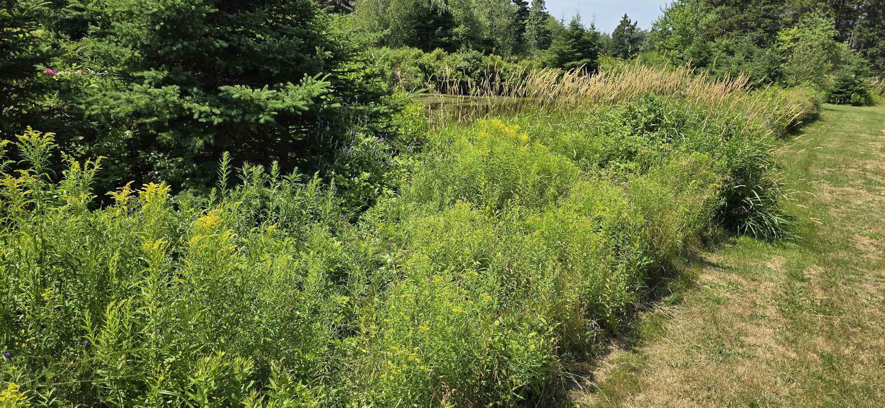 $479,000.00: Lot 2007-1 Gulf Shore Road, Gulf Shore