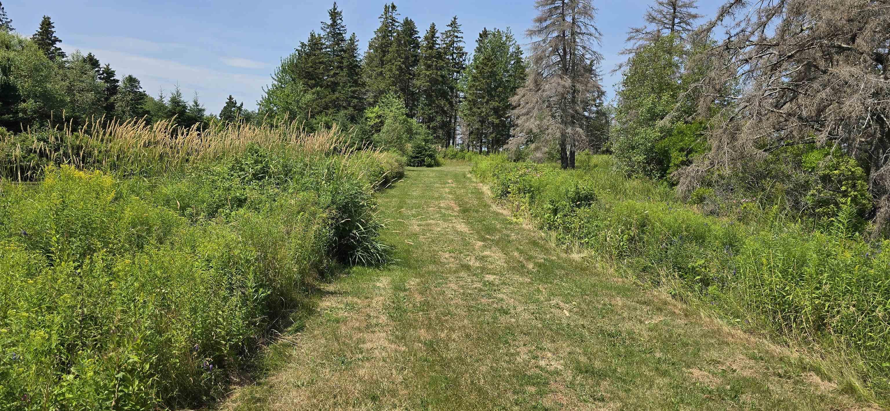 $479,000.00: Lot 2007-1 Gulf Shore Road, Gulf Shore