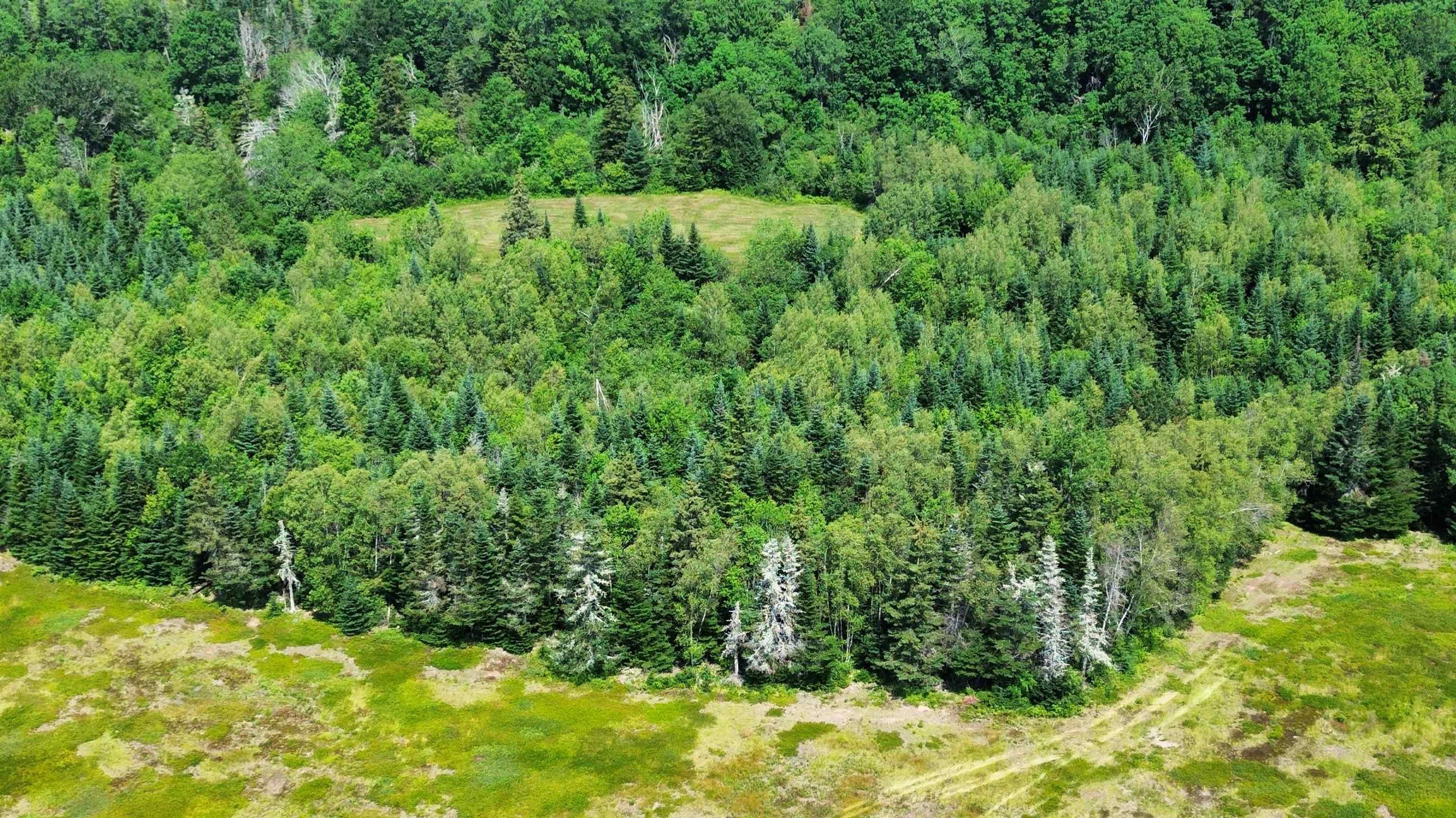 $149,900.00: Lot 1AB Wentworth Collingwood Road, Williamsdale