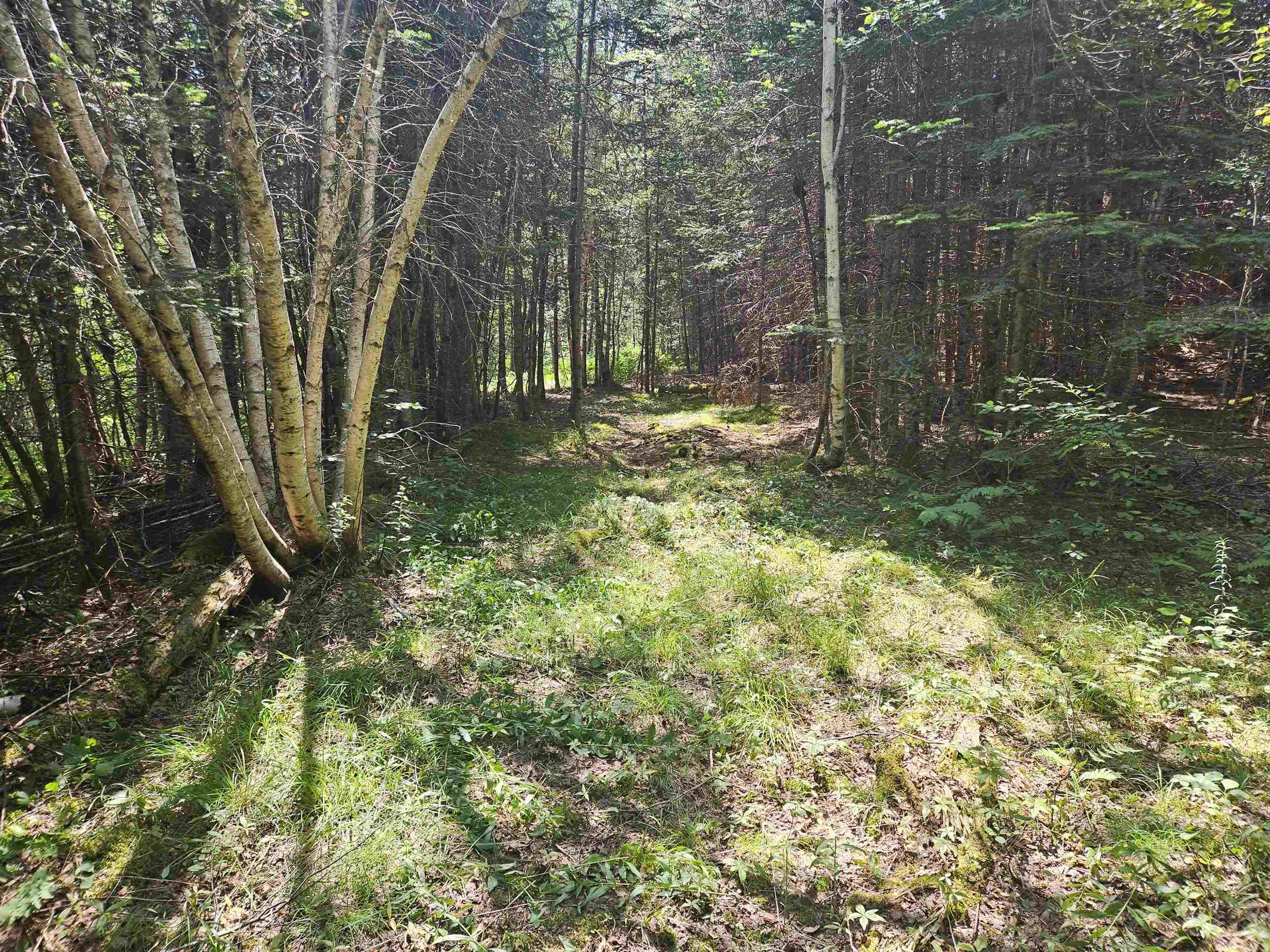 $149,900.00: Lot 1AB Wentworth Collingwood Road, Williamsdale