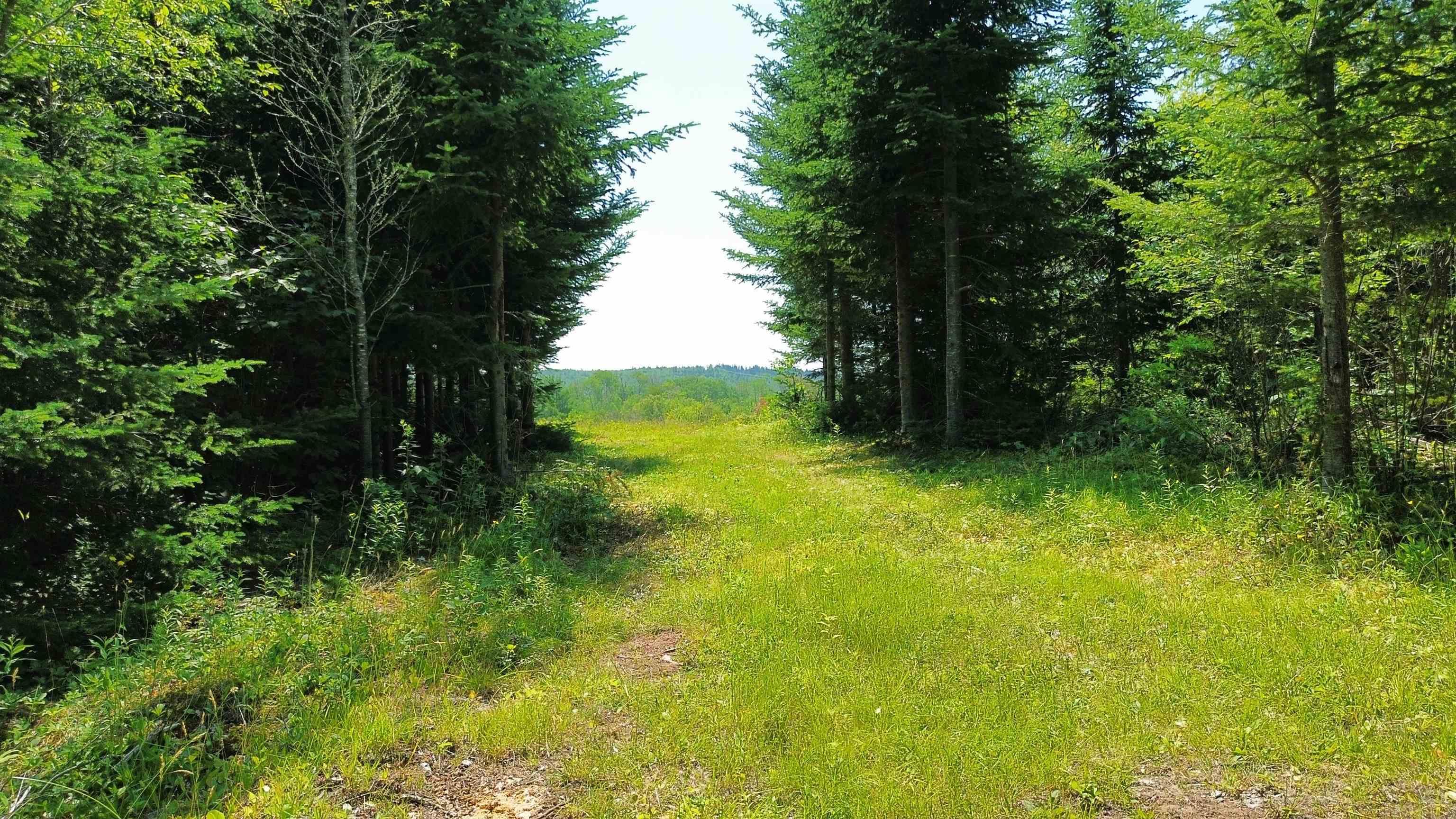 $149,900.00: Lot 1AB Wentworth Collingwood Road, Williamsdale