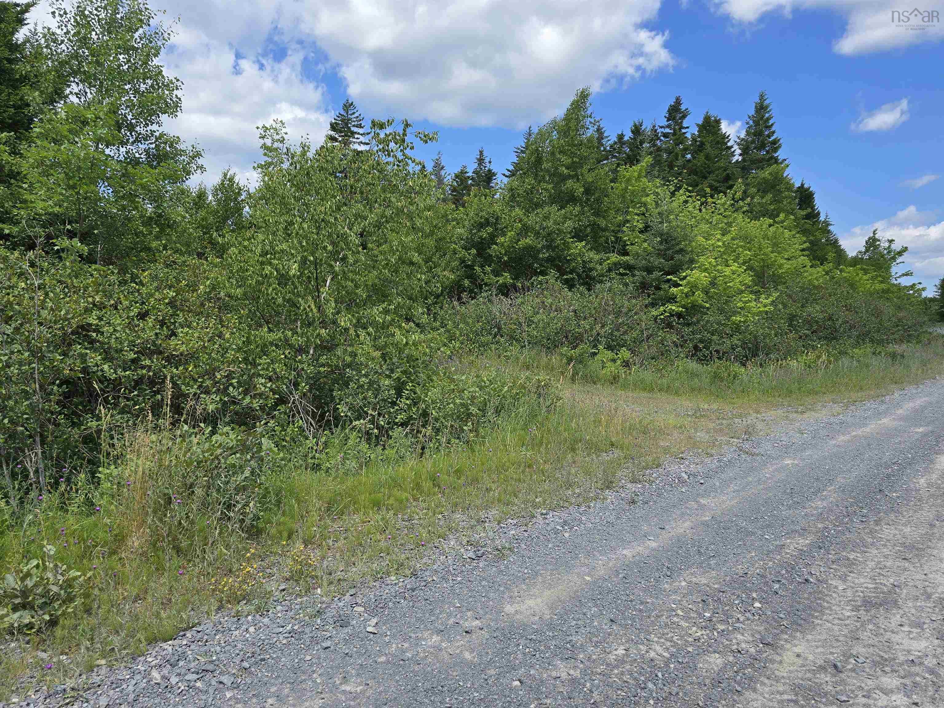 $475,000.00: Lot 1-3 107 Highway, West Petpeswick
