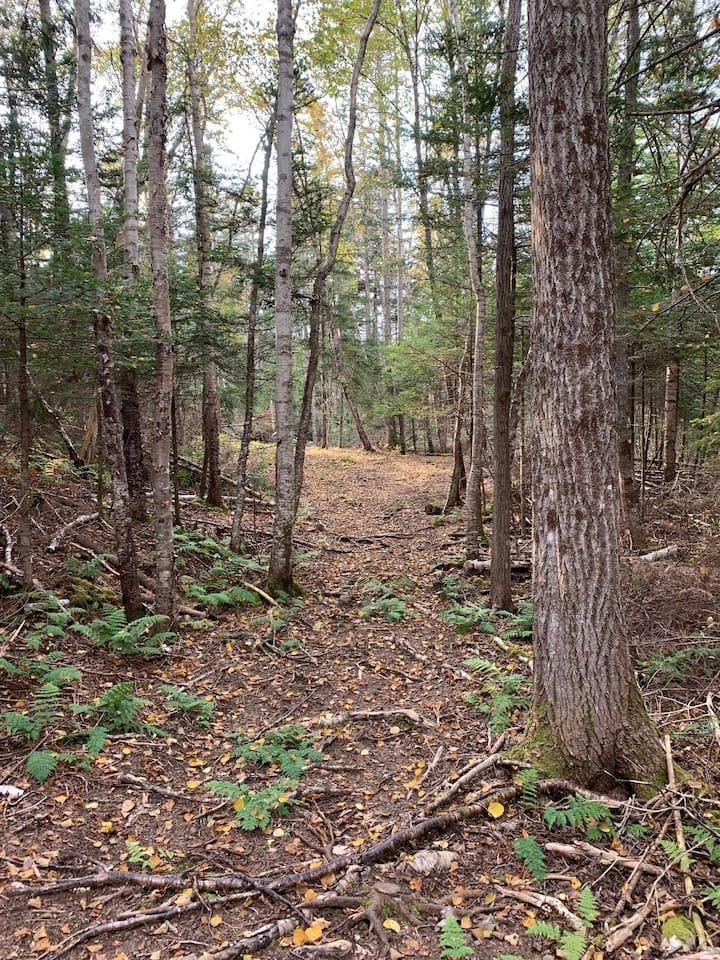 $595,000.00: 146 Pinky Creek Road, Parrsboro