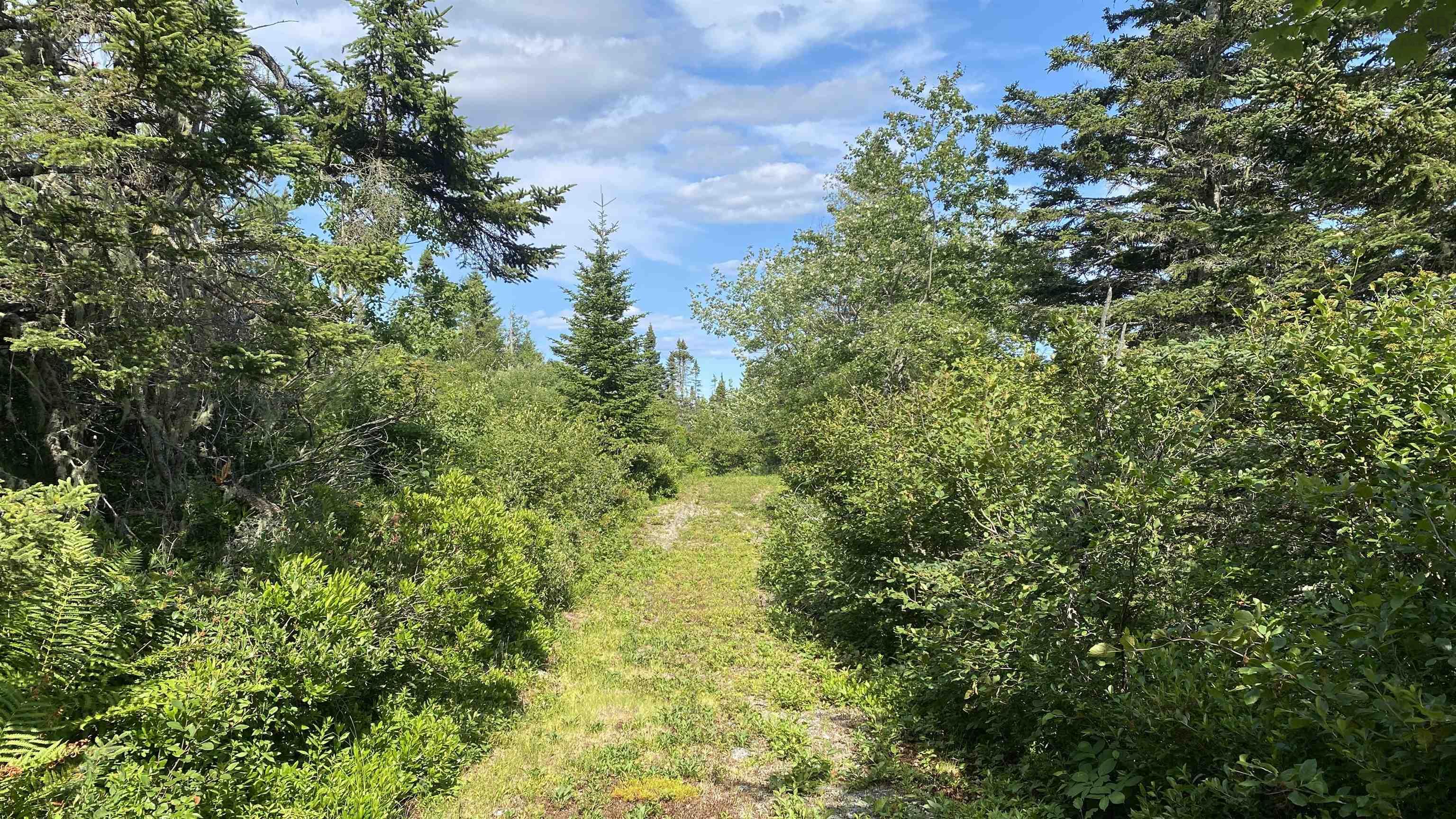 $249,000.00: OCEANFRONT AT EAGLE POINT Road, Eagle Head