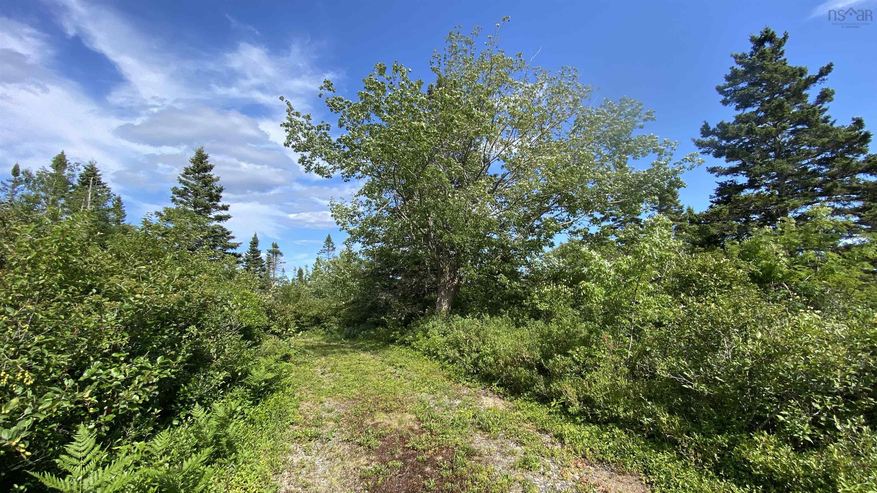 $249,000.00: OCEANFRONT AT EAGLE POINT Road, Eagle Head