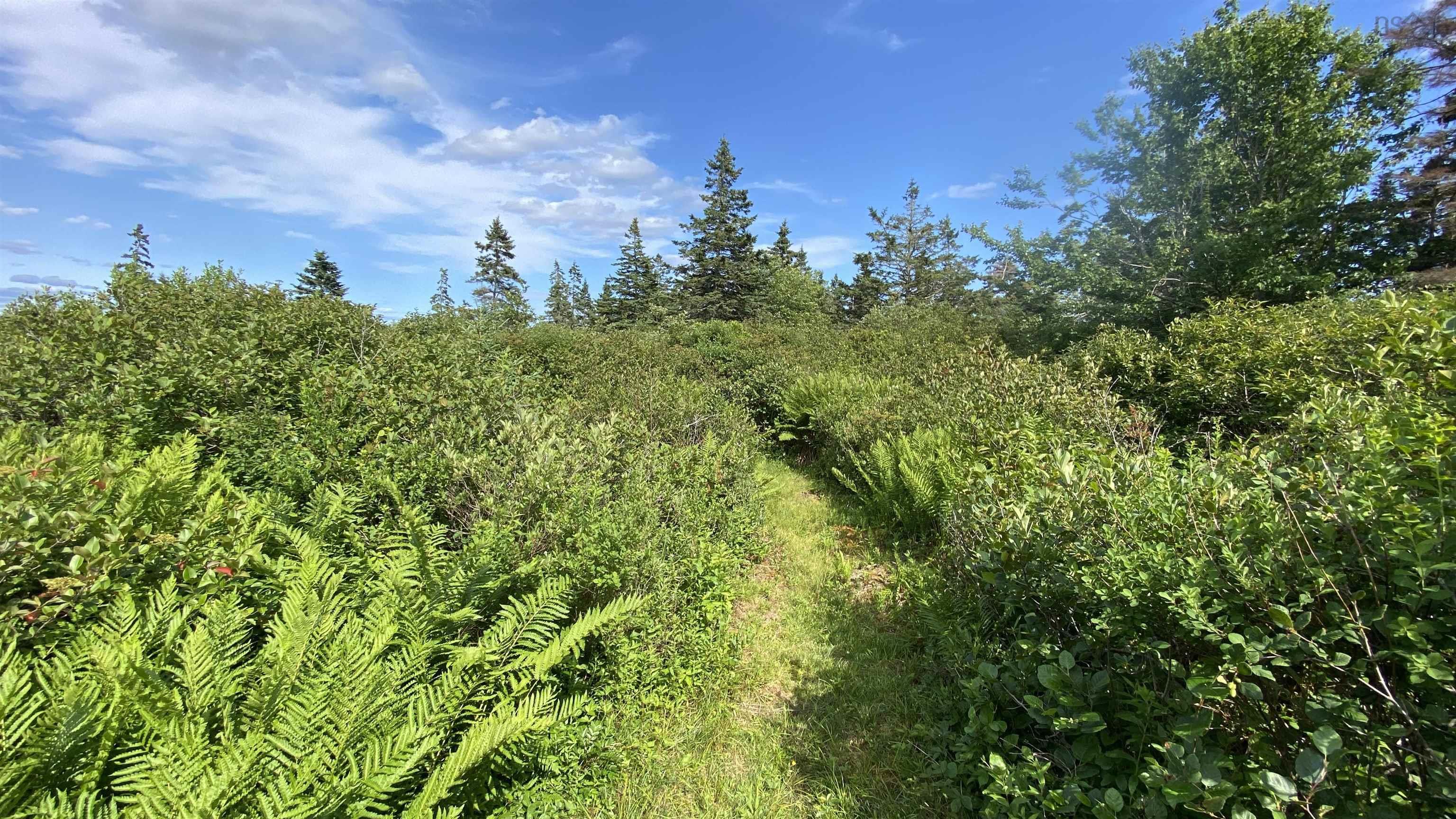 $249,000.00: OCEANFRONT AT EAGLE POINT Road, Eagle Head
