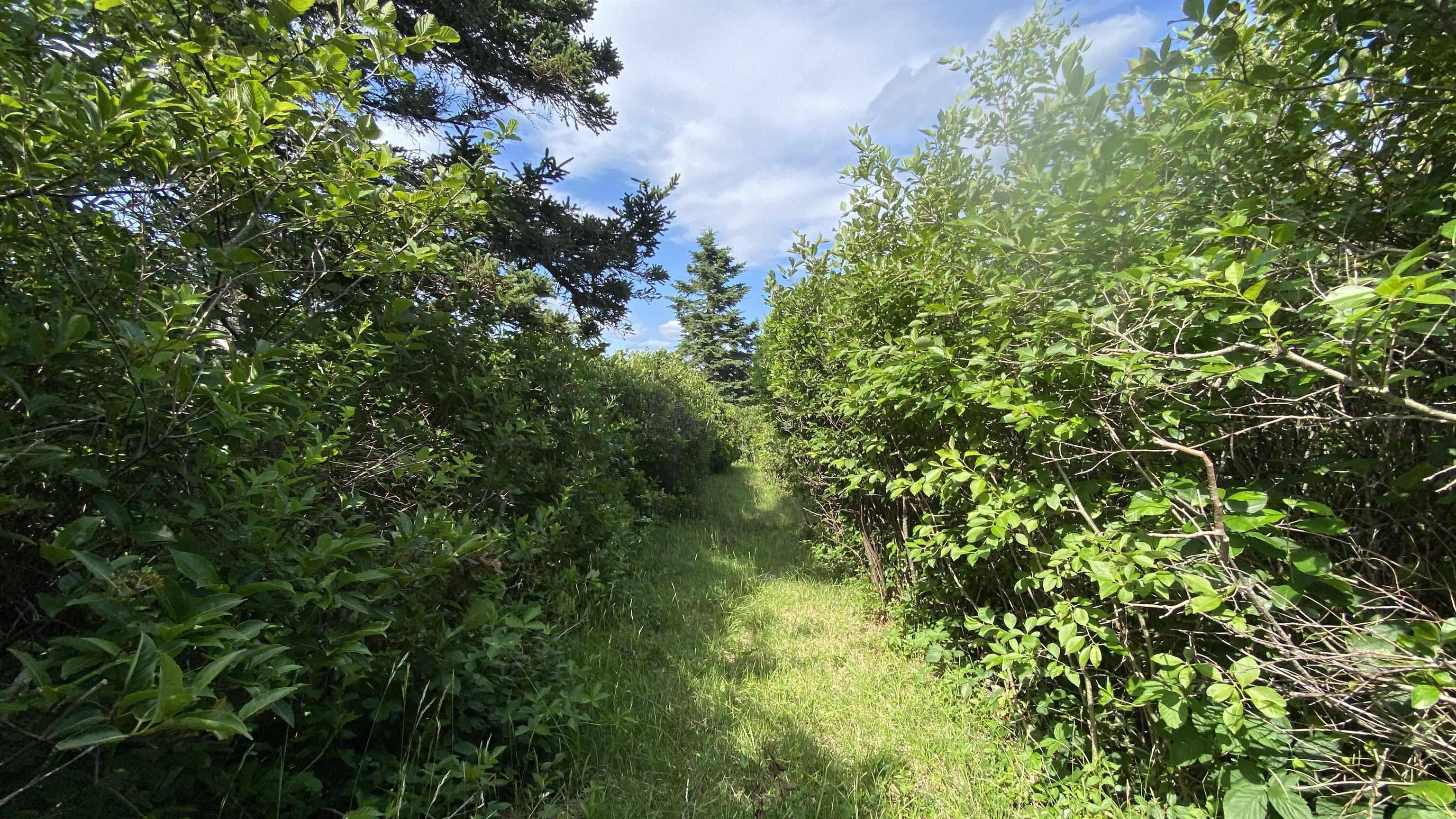 $249,000.00: OCEANFRONT AT EAGLE POINT Road, Eagle Head