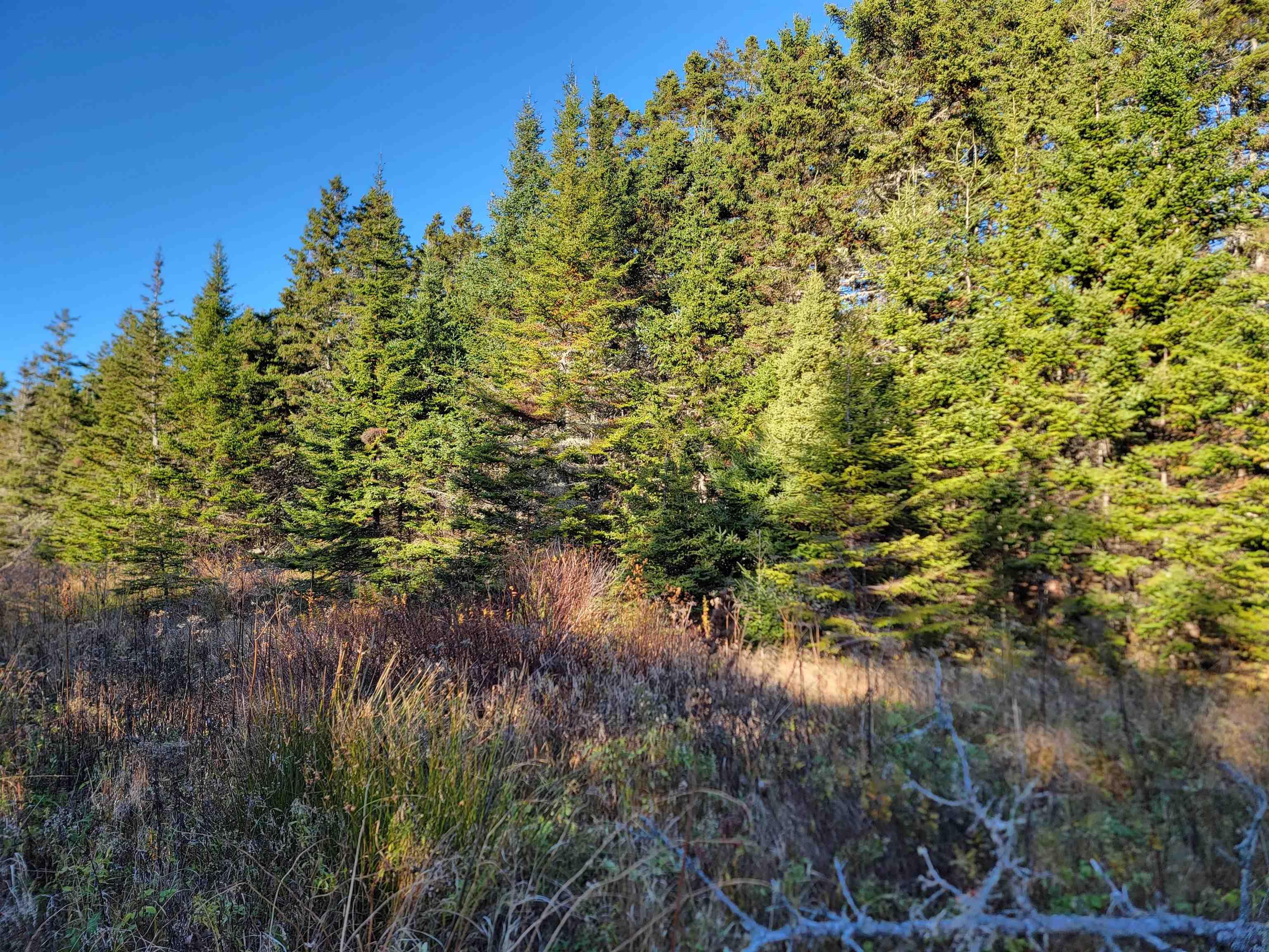 $39,000.00: Bona Road, Lower L