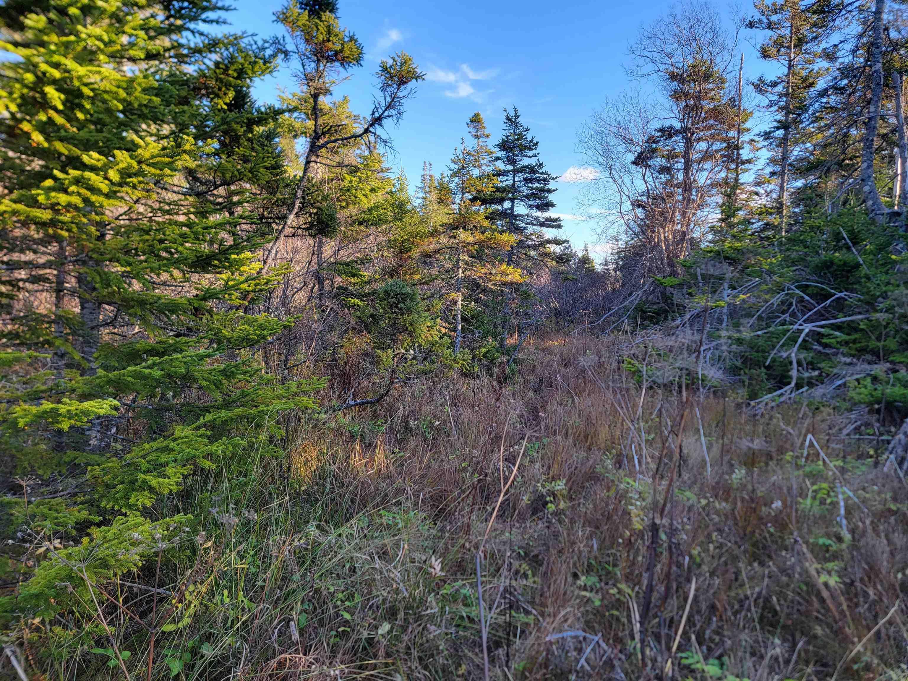 $39,000.00: Bona Road, Lower L