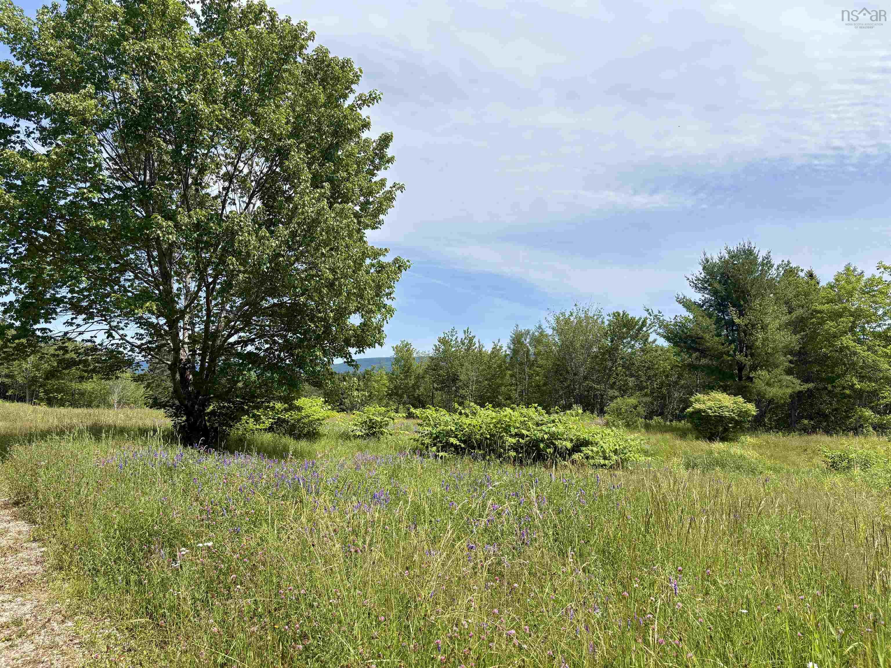 $245,000.00: 1629 West Side Middle River, Middle River