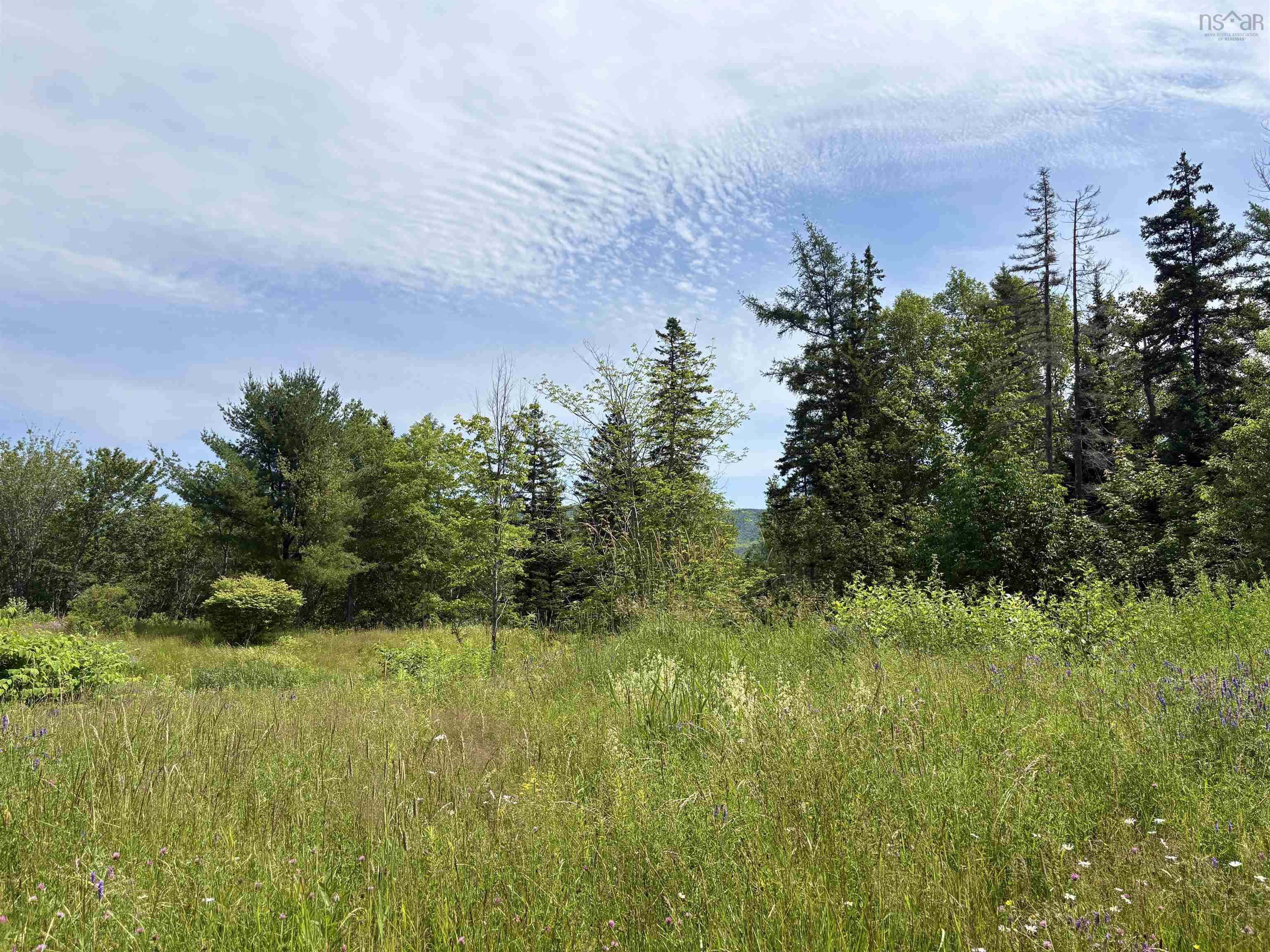 $245,000.00: 1629 West Side Middle River, Middle River