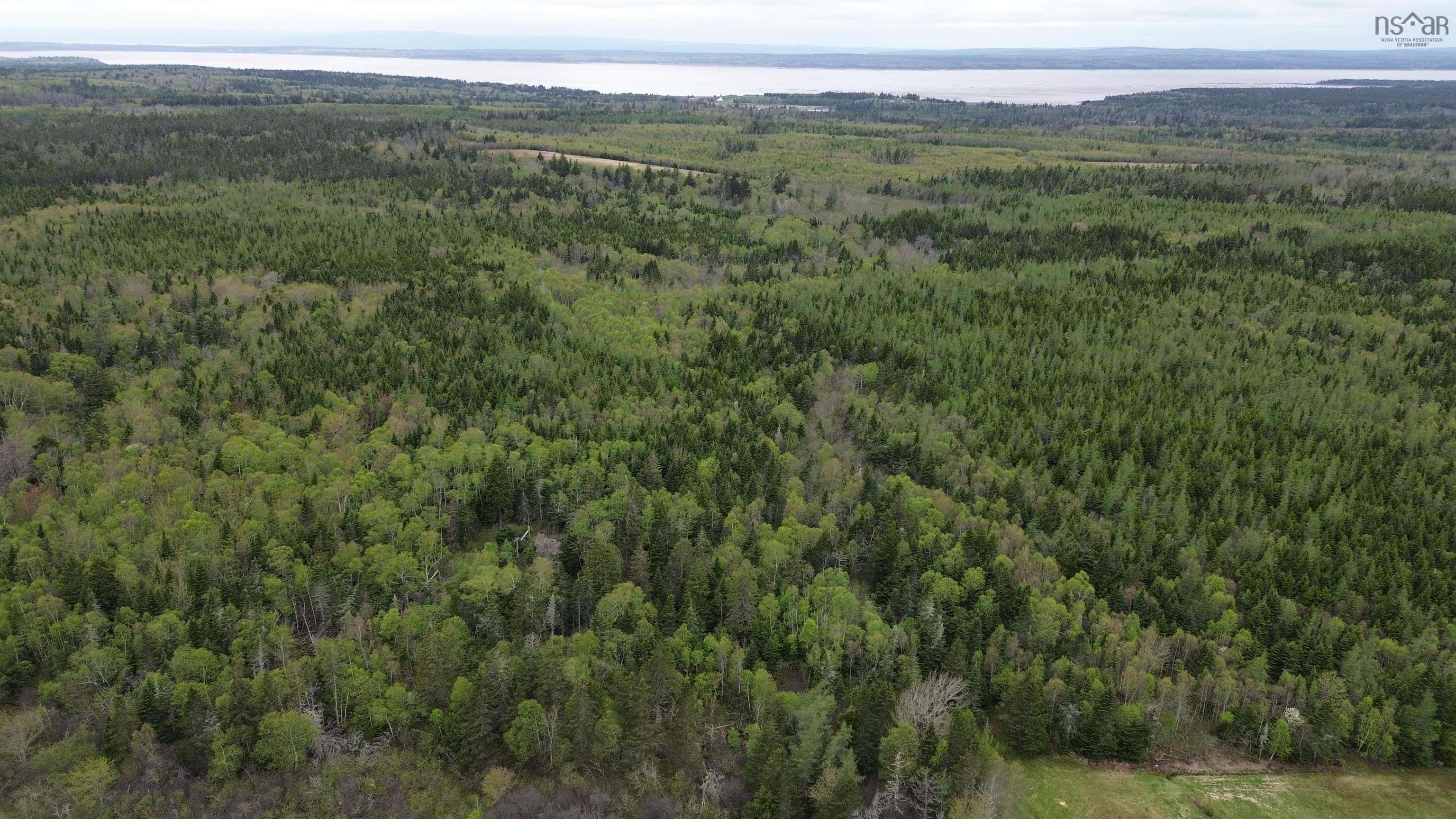 572 German Town Road, Barronsfield, NS (MLS 202617991)
