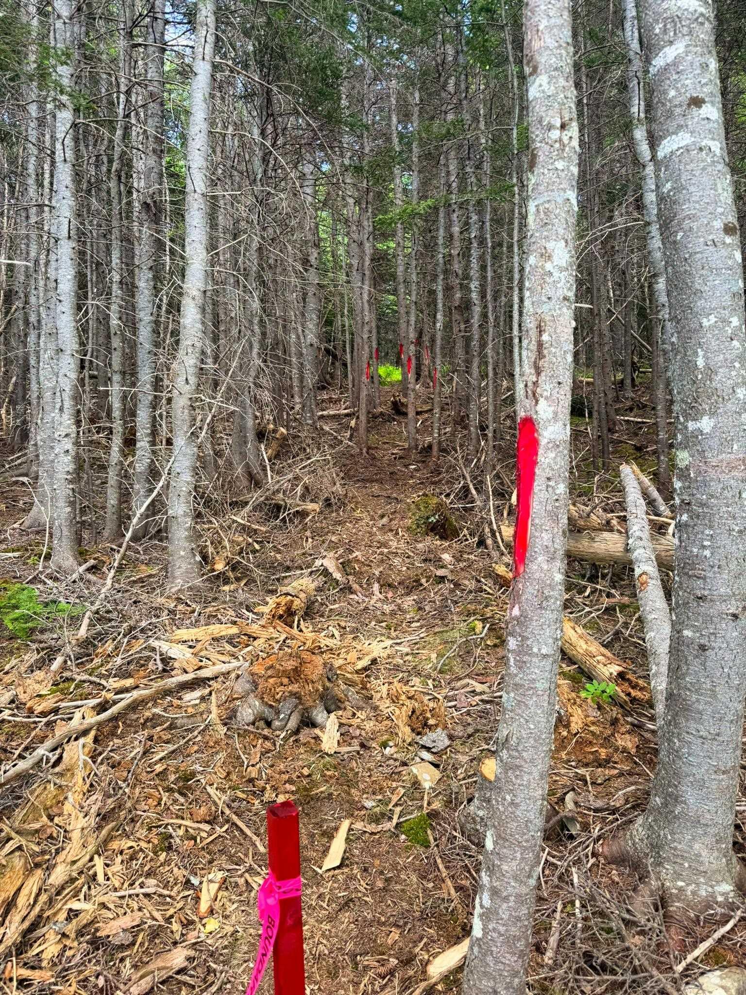 $159,000.00: Lot 25-1R Corbetts Cove Road, Corbetts Cove