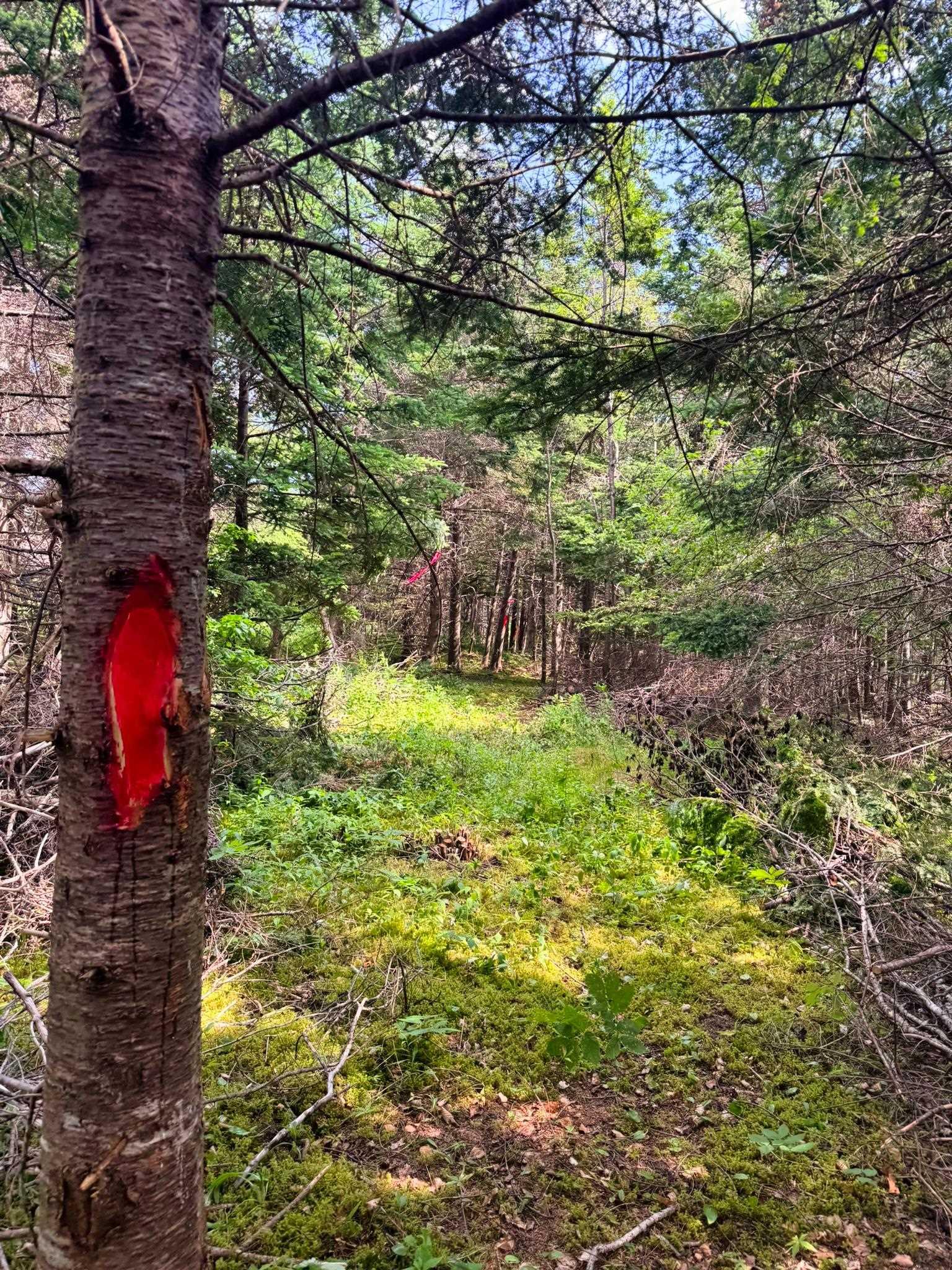 $159,000.00: Lot 25-1R Corbetts Cove Road, Corbetts Cove