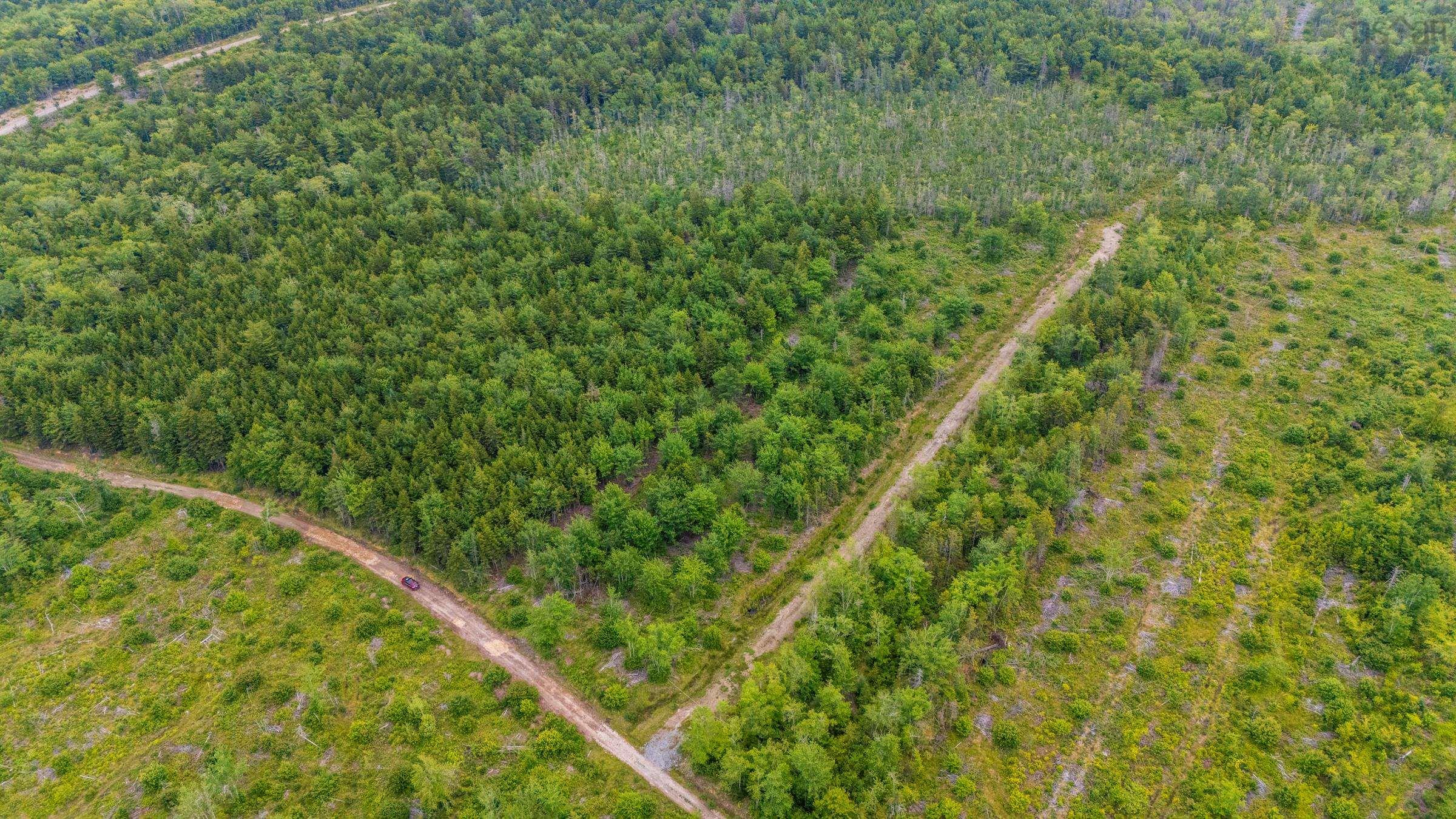$20,000.00: Lot East Concession Road, Lower Concession