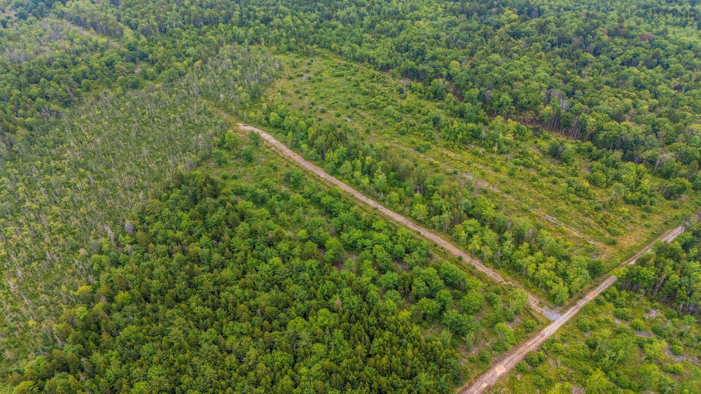 $20,000.00: Lot East Concession Road, Lower Concession