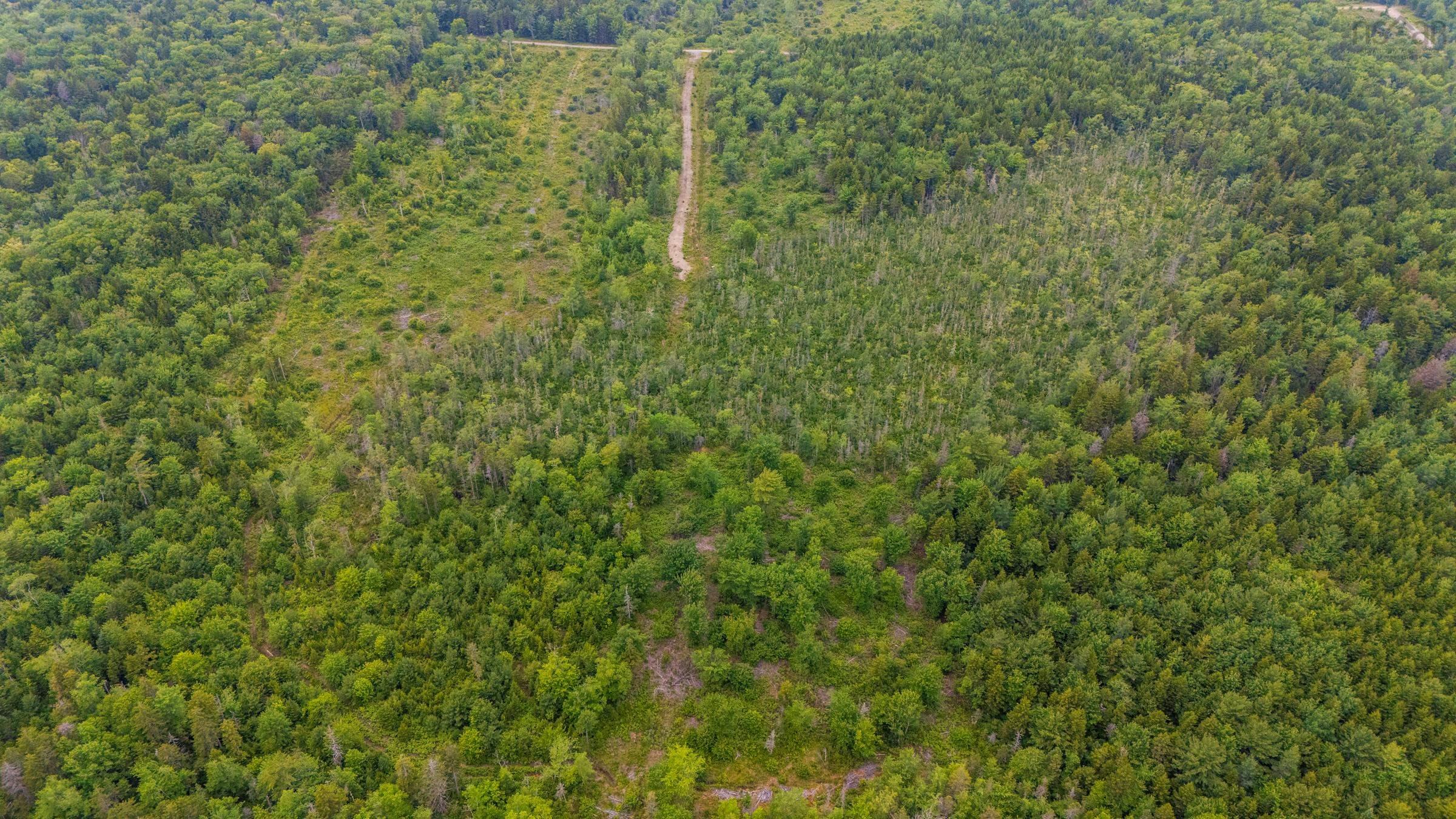 $20,000.00: Lot East Concession Road, Lower Concession