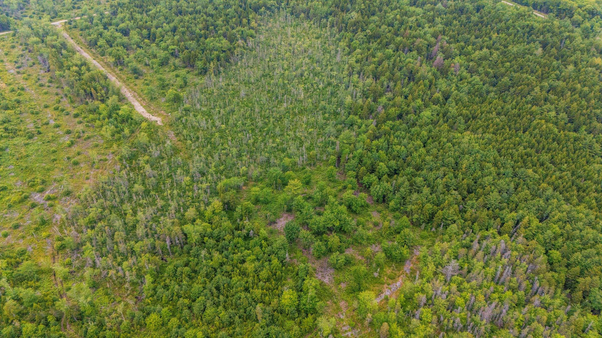 $20,000.00: Lot East Concession Road, Lower Concession