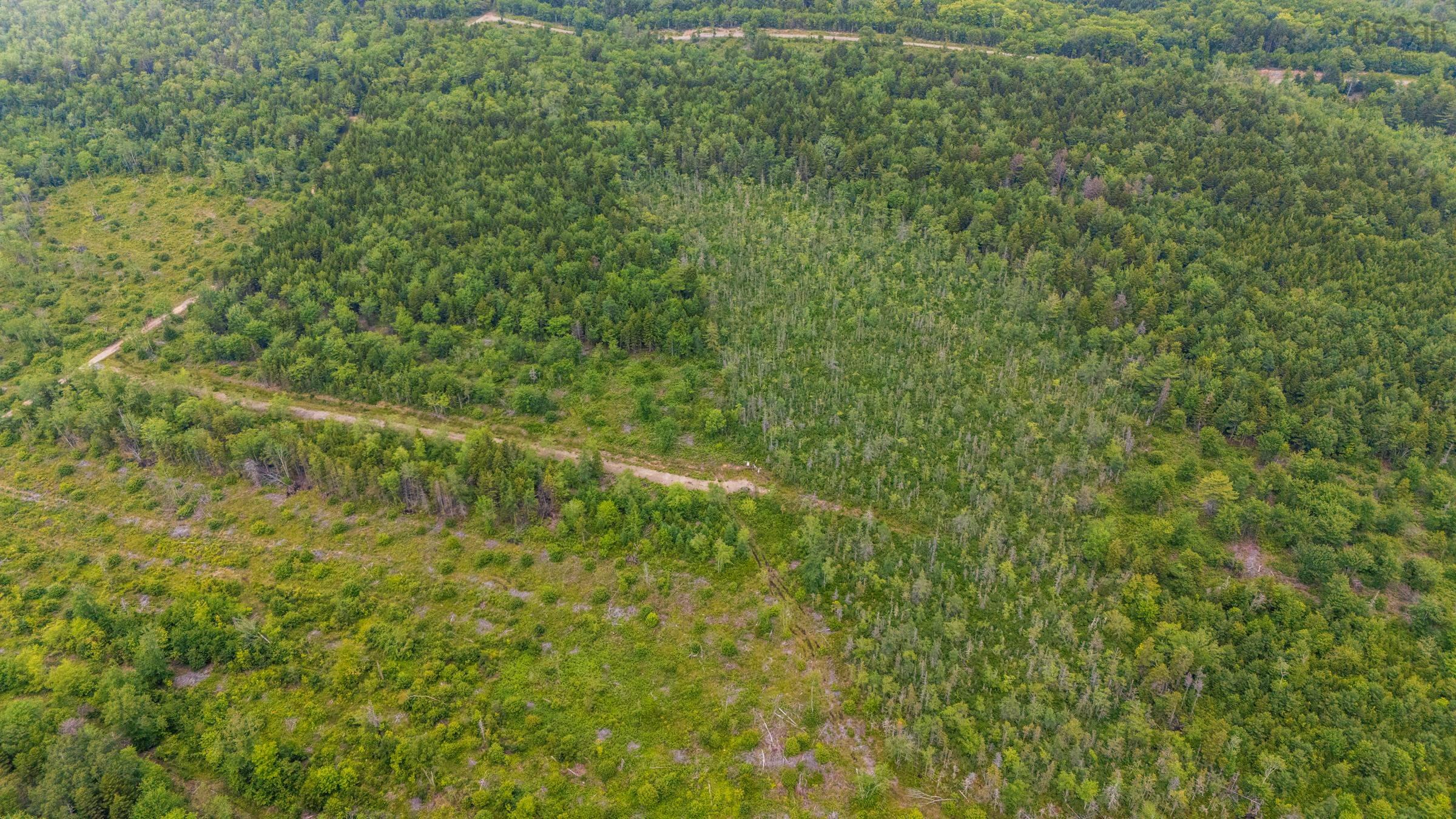 $20,000.00: Lot East Concession Road, Lower Concession